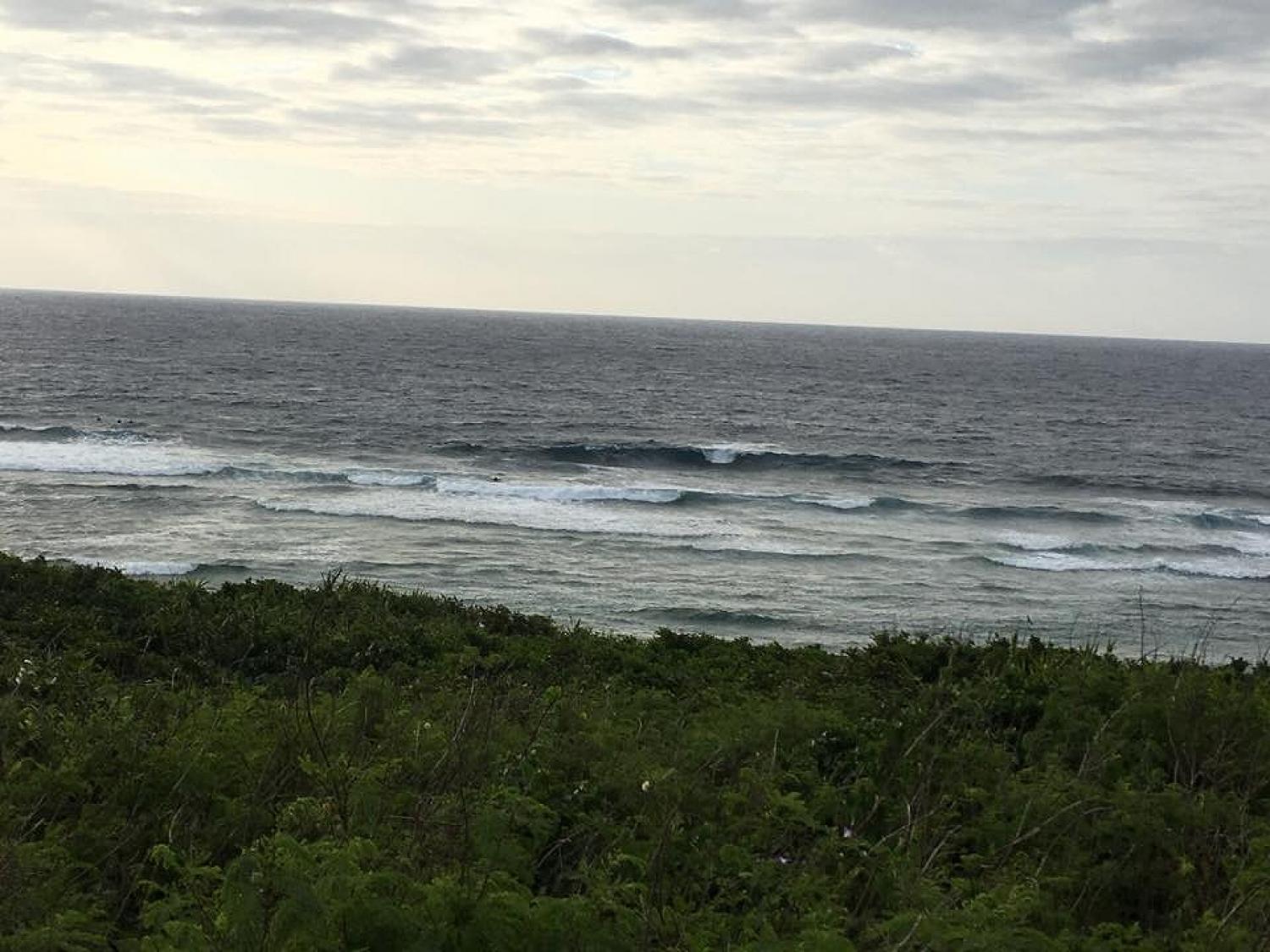 3月18日（日）スーサイド波情報 2