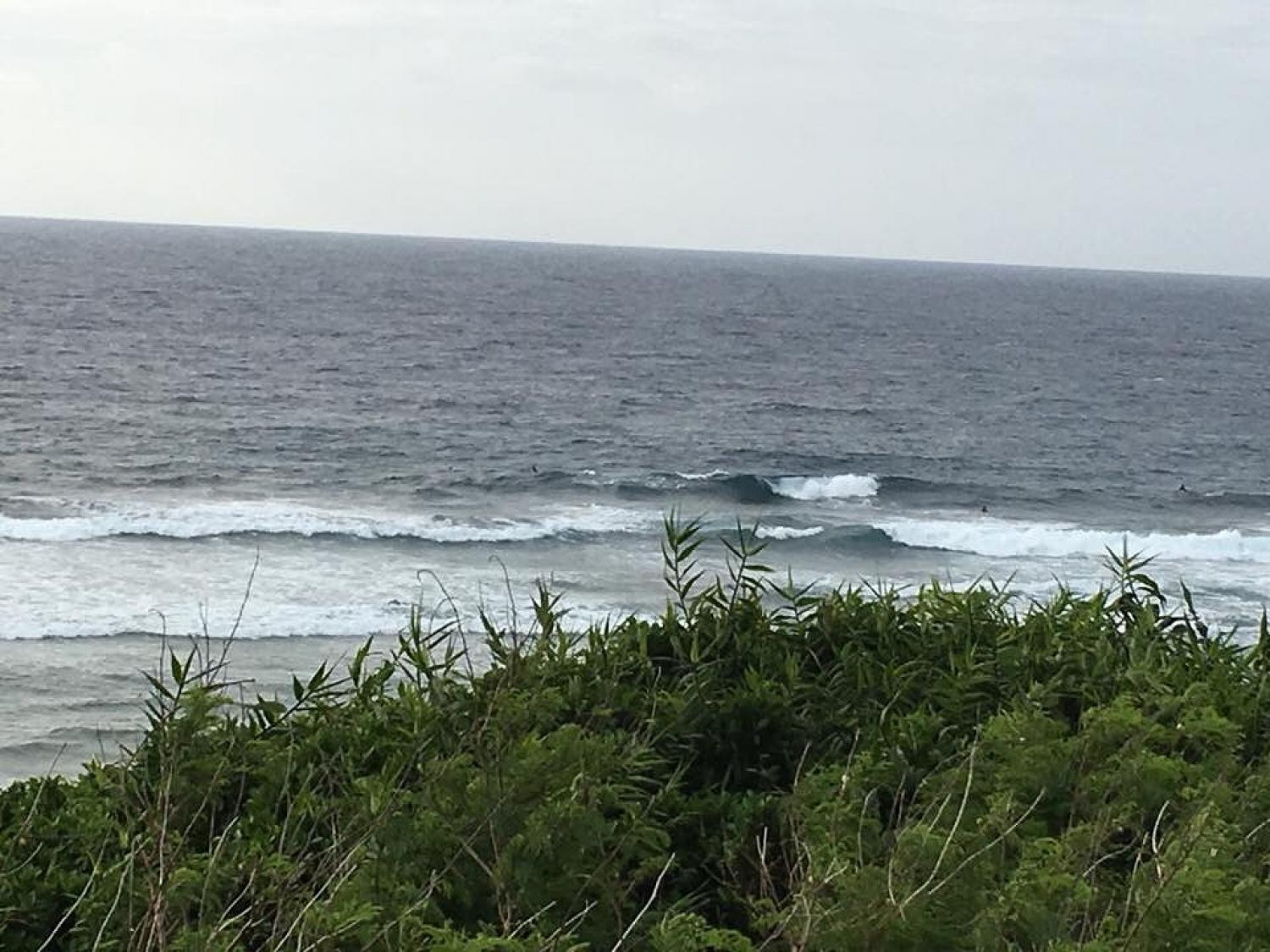 3月18日（日）スーサイド波情報 4