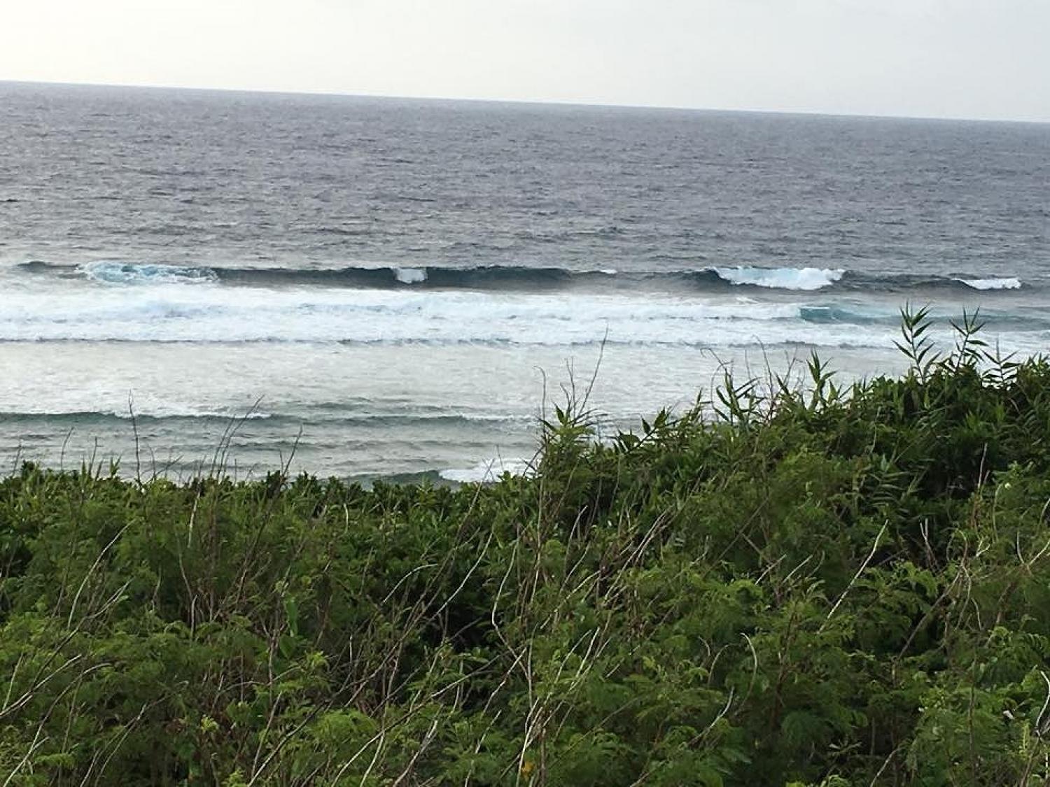 3月18日（日）スーサイド波情報 5
