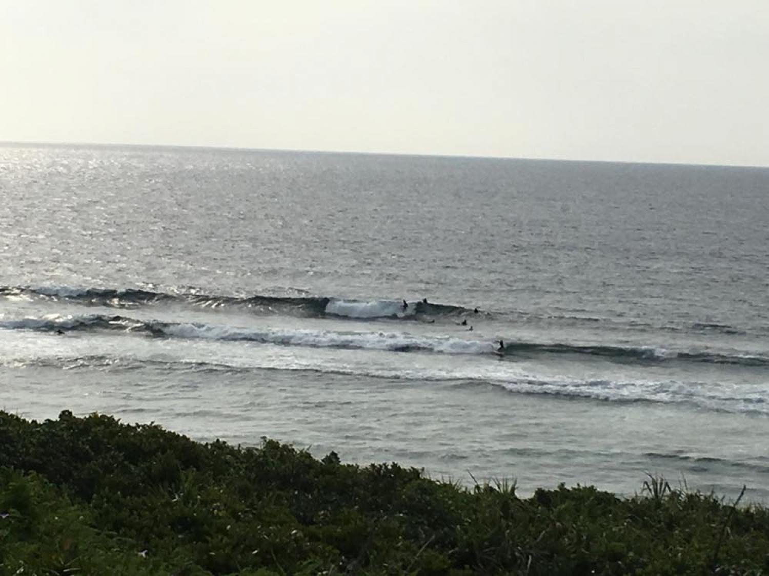 mar 20 suicide point wave information