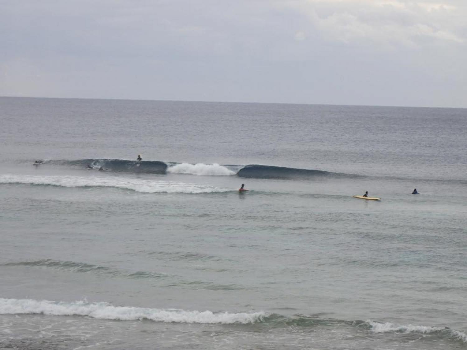 mar 22 suicide point wave information