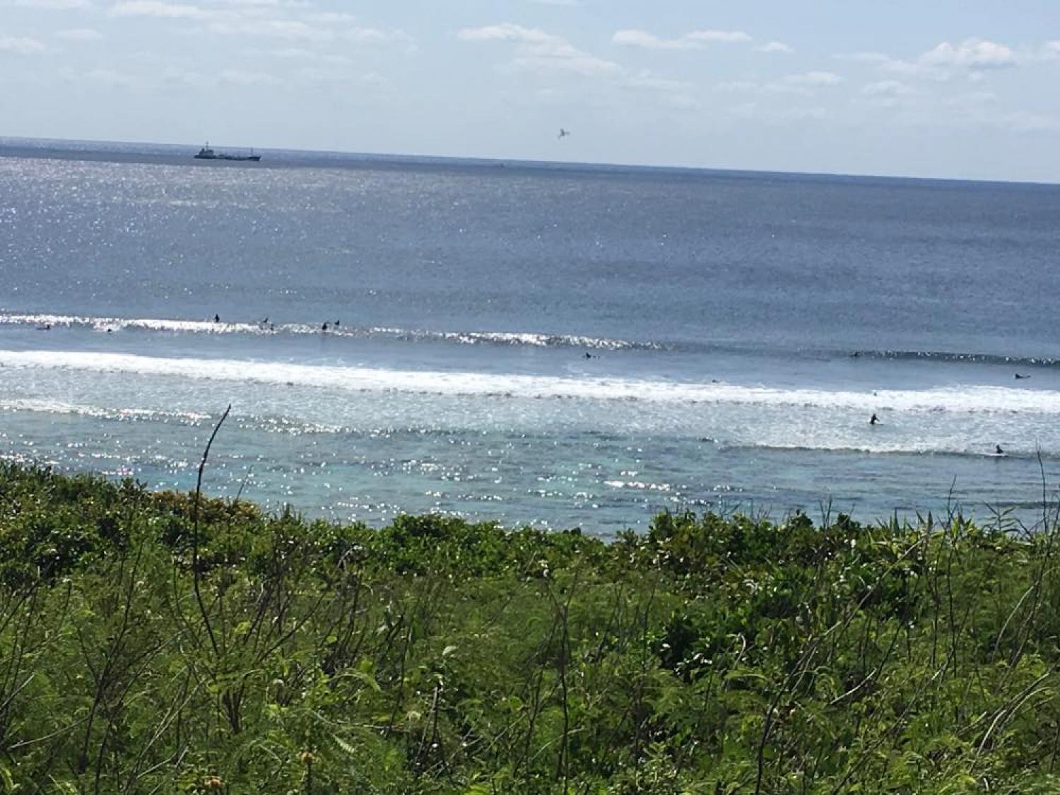 mar 23 suicide point wave information