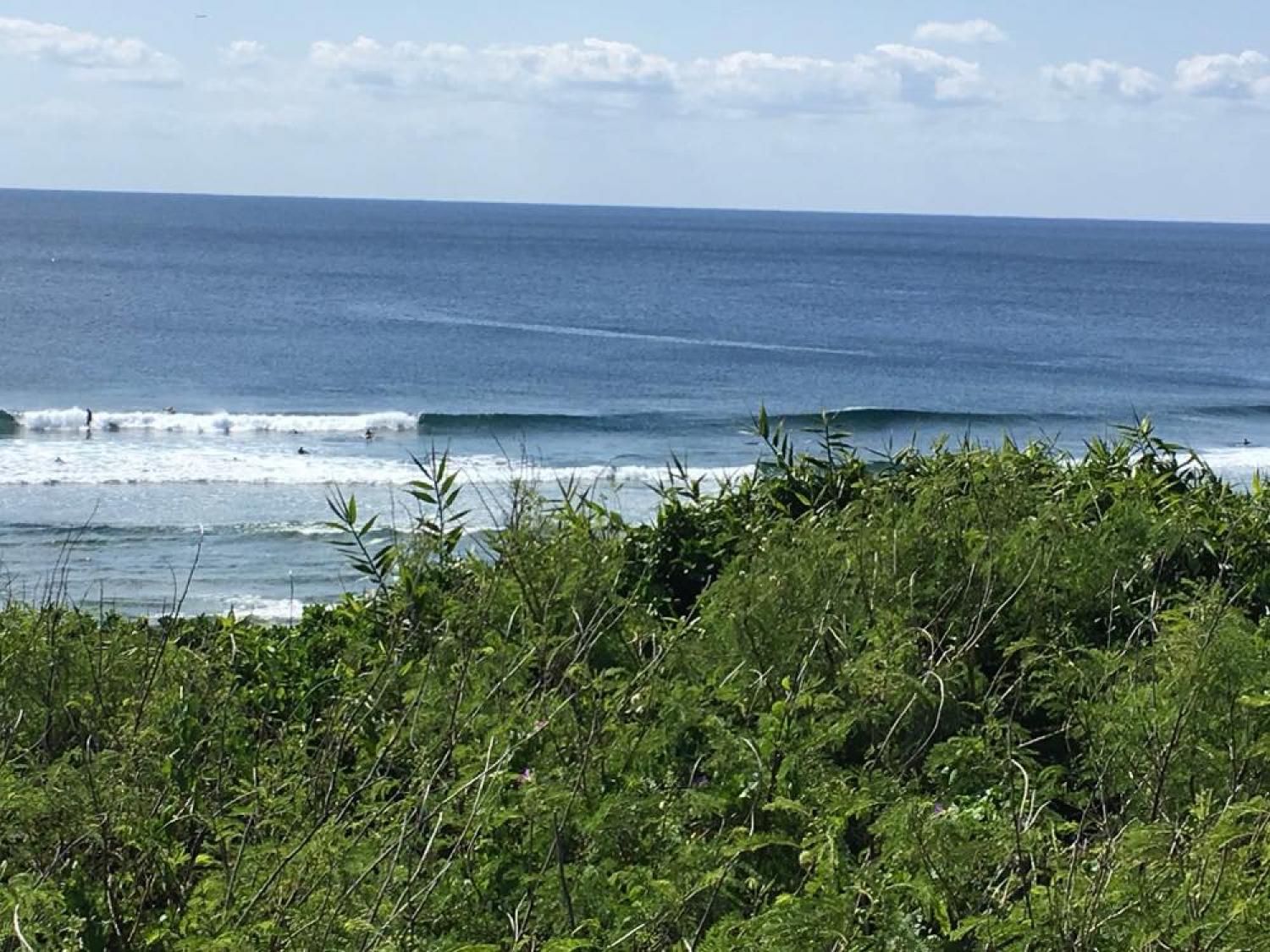 mar 23 suicide point wave information 2