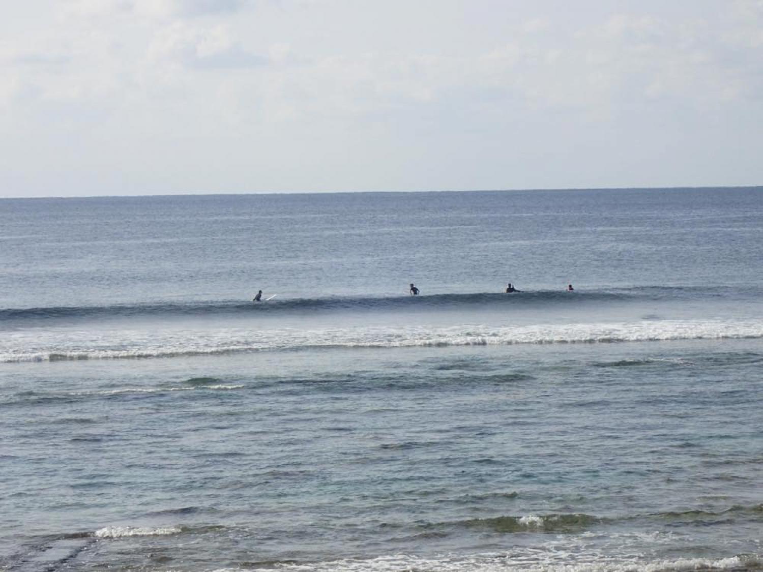 mar 24 suicide point wave information