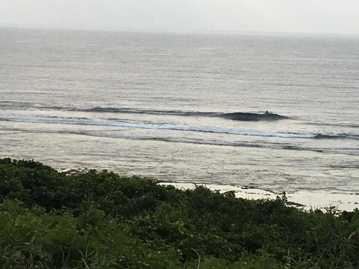 mar 25 suicide point wave information