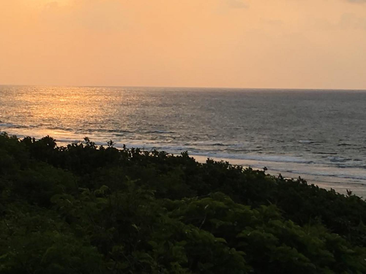 mar 26 suicide point wave information