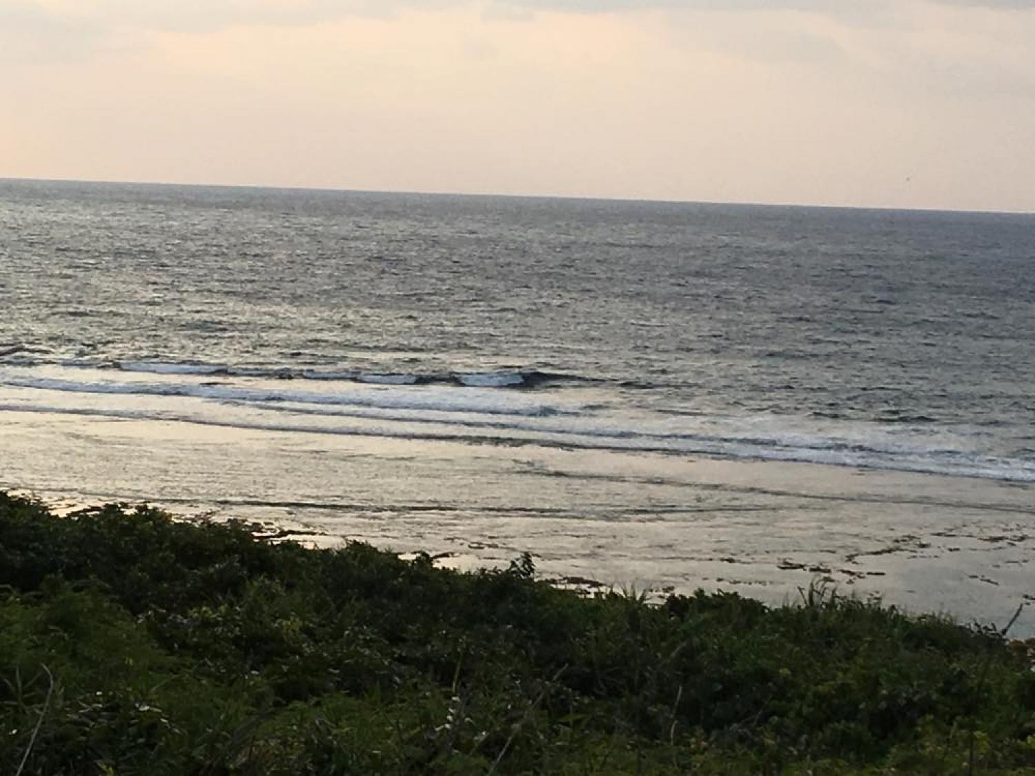 mar 26 suicide point wave information 2