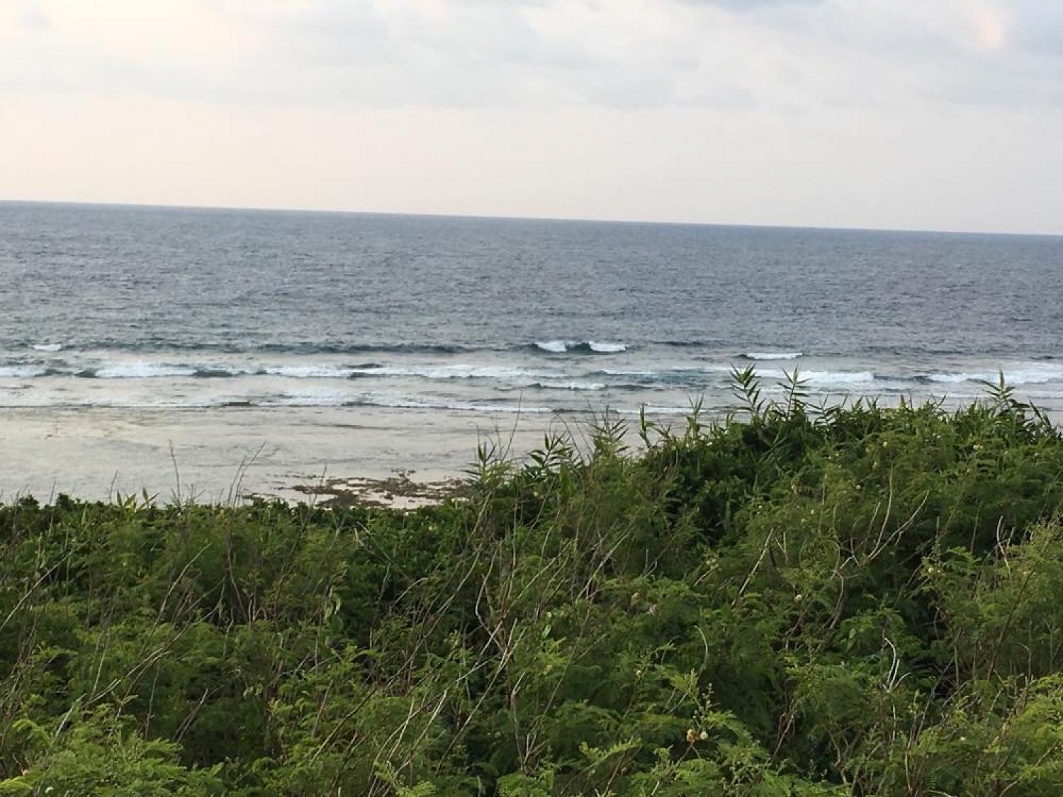 mar 26 suicide point wave information 4