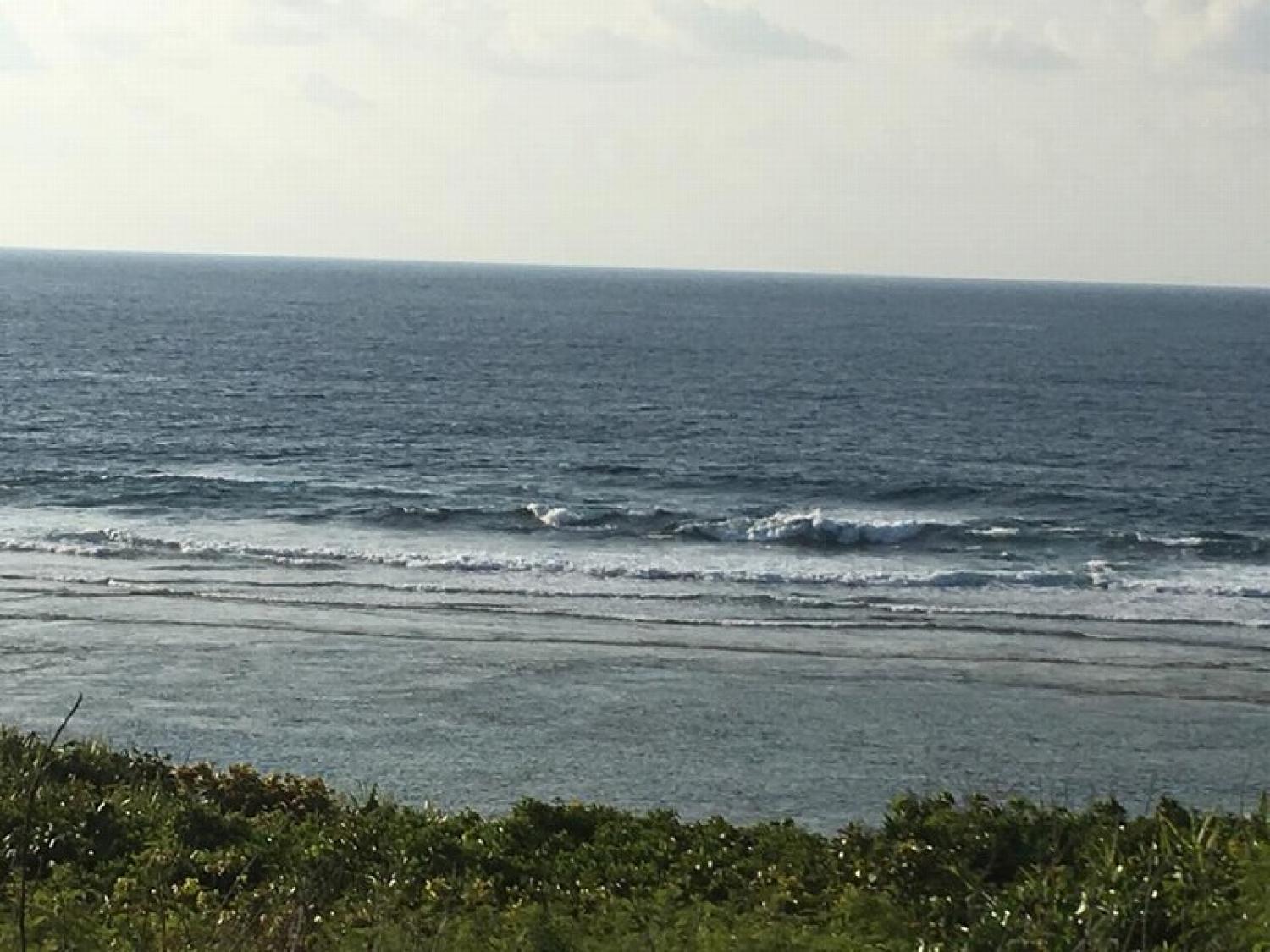 mar 27 suicide point wave information