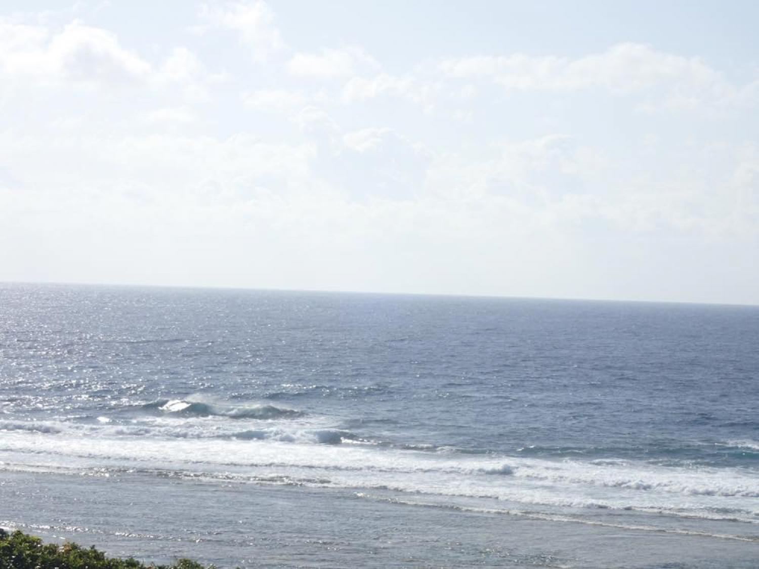 mar 29 suicide point wave information