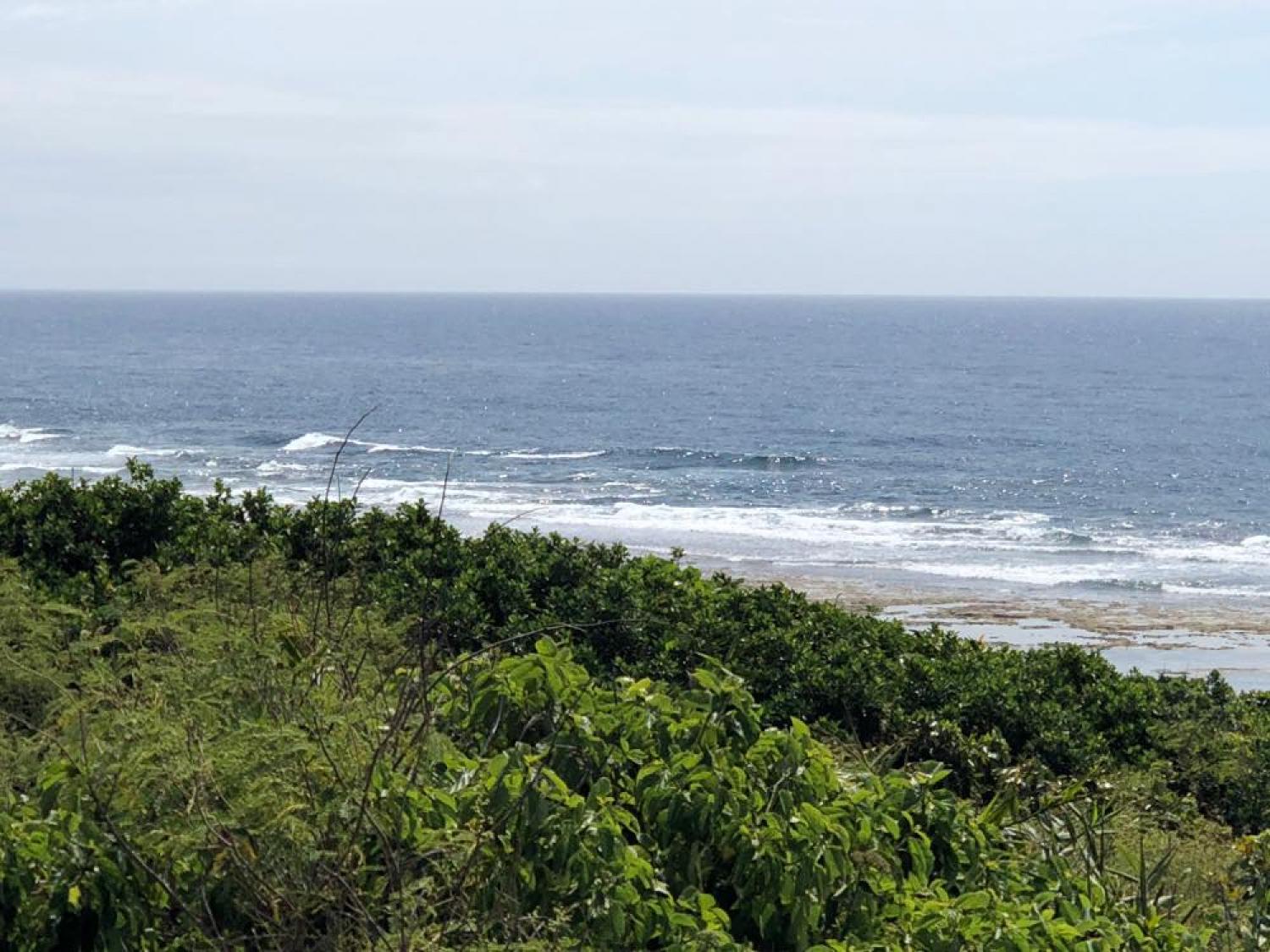 12th April suicide point wave information