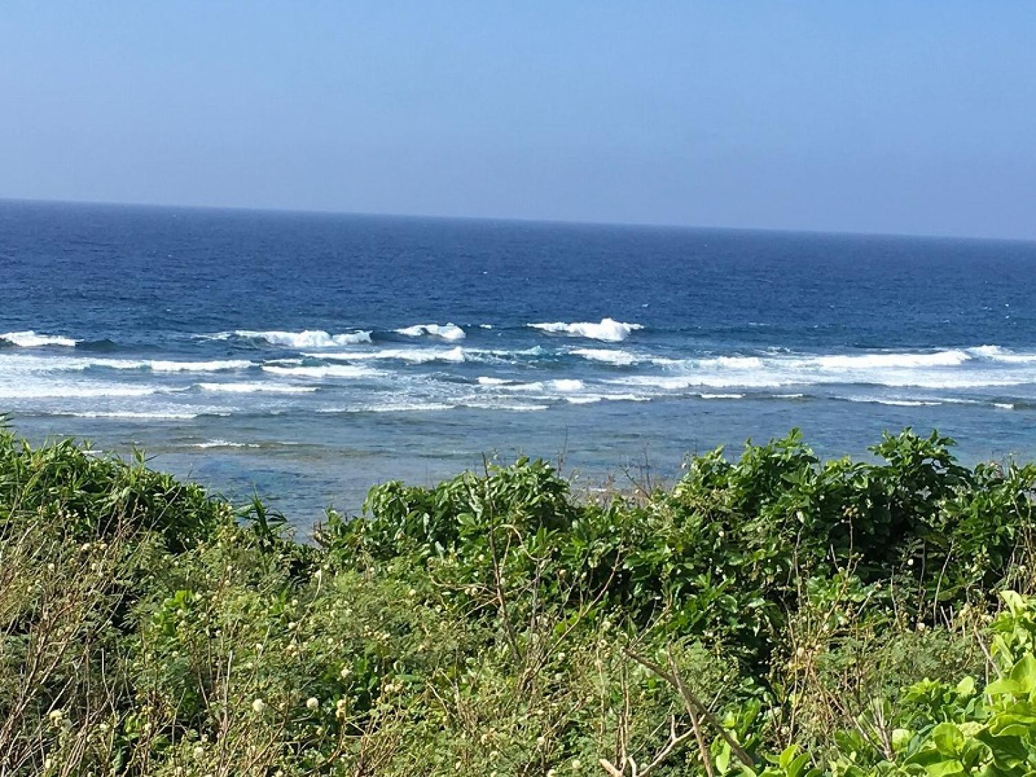 23th April suicide point wave information