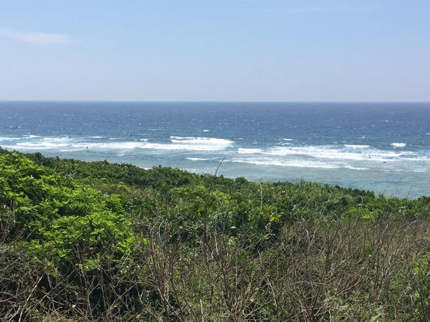 6th May suicide point wave information