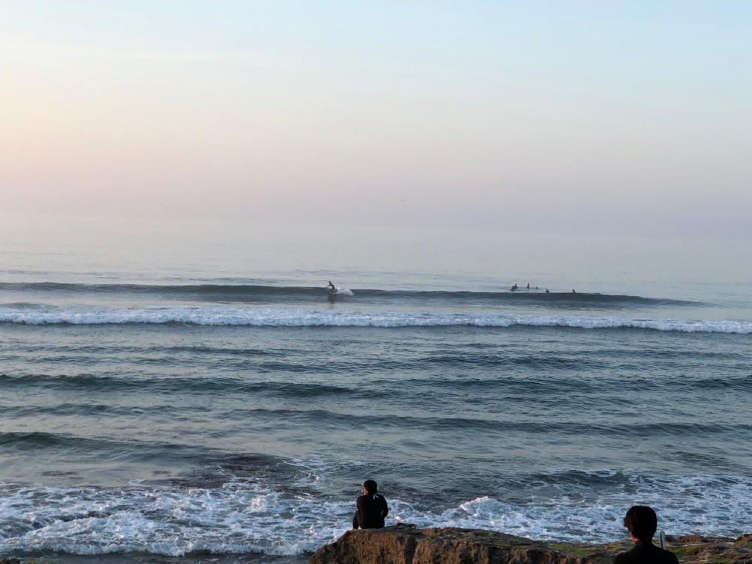 15th May suicide point wave information