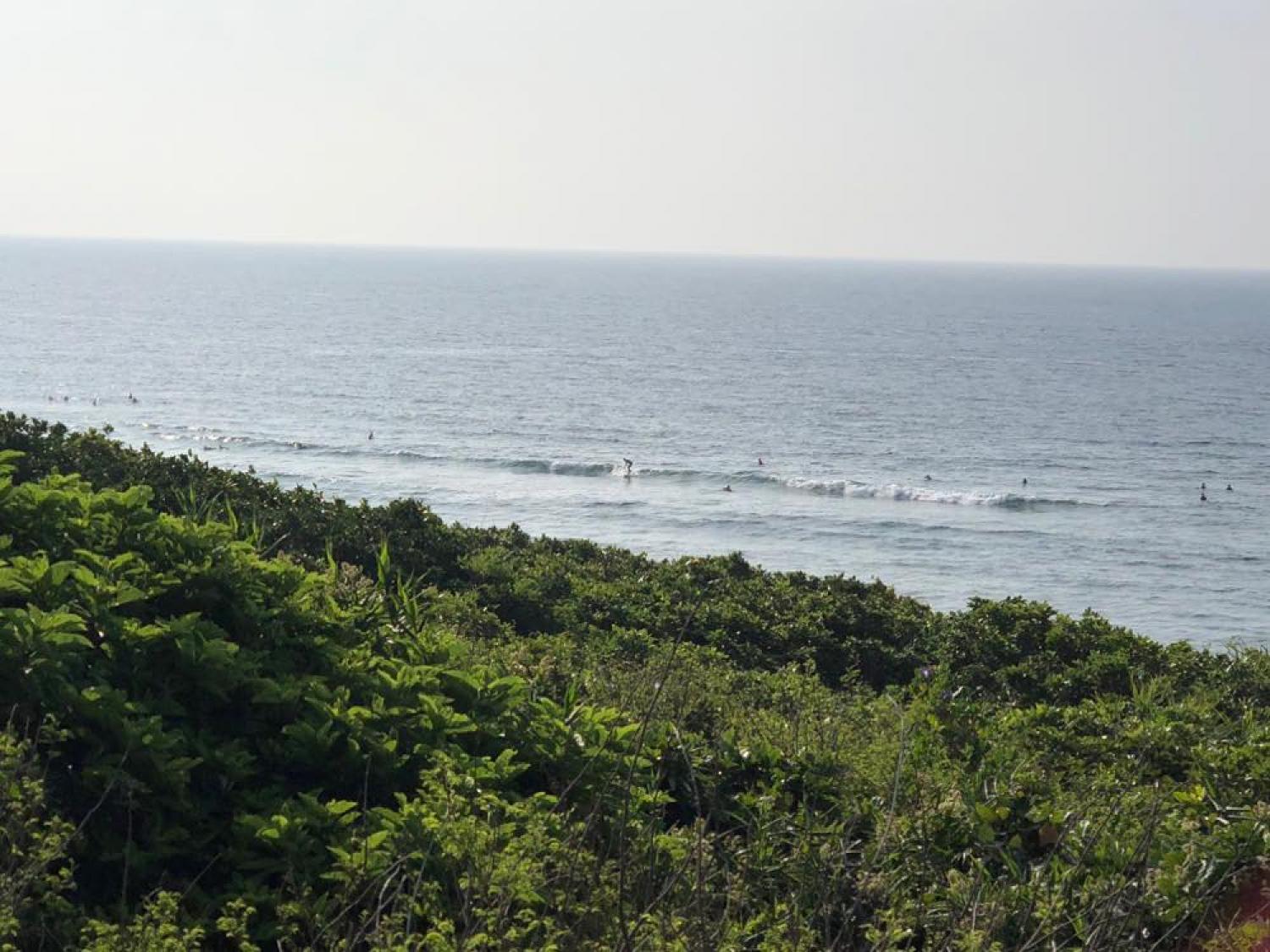 17th May suicide point wave information