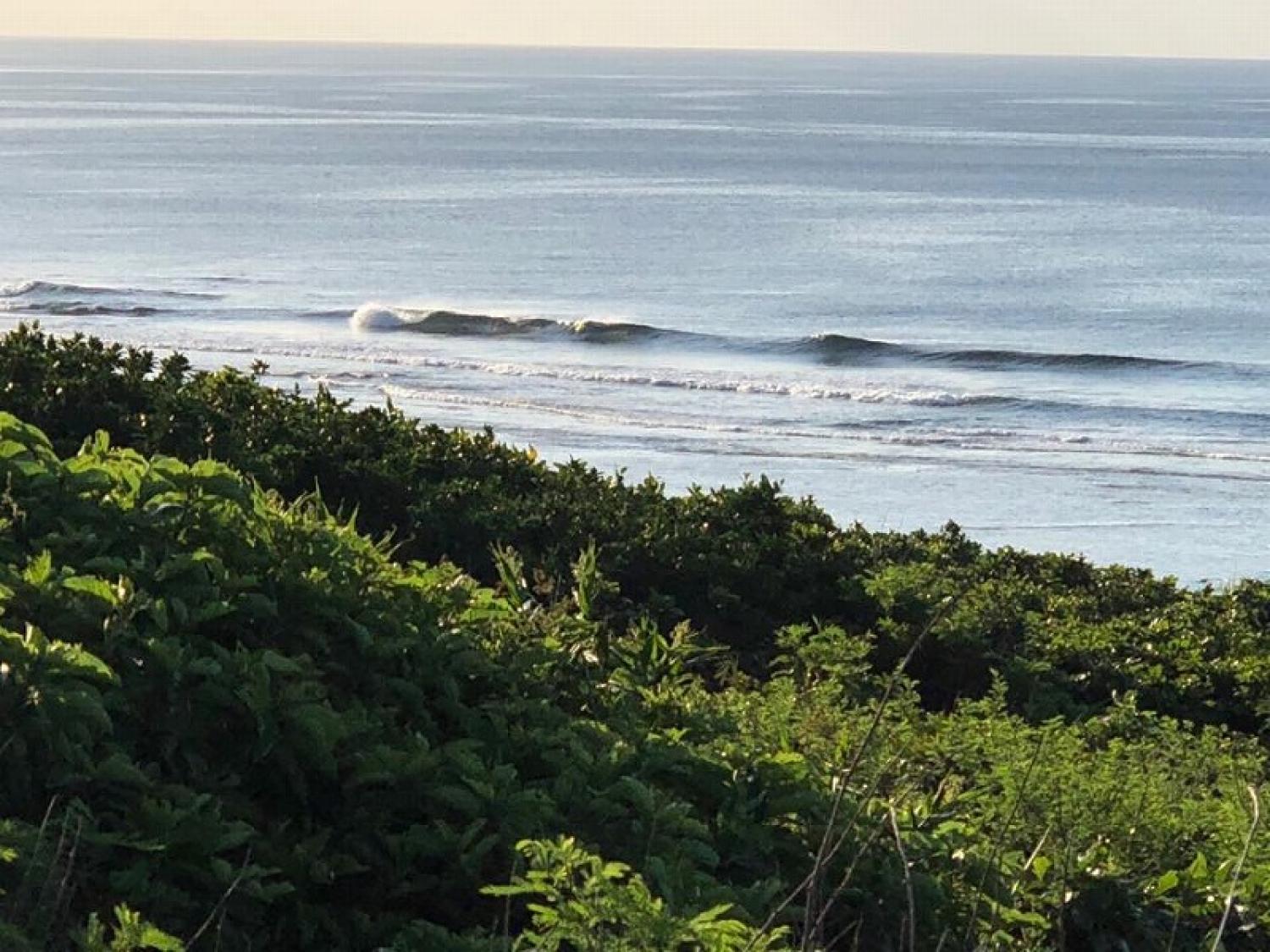 5月24日（木）スーサイド波情報 2