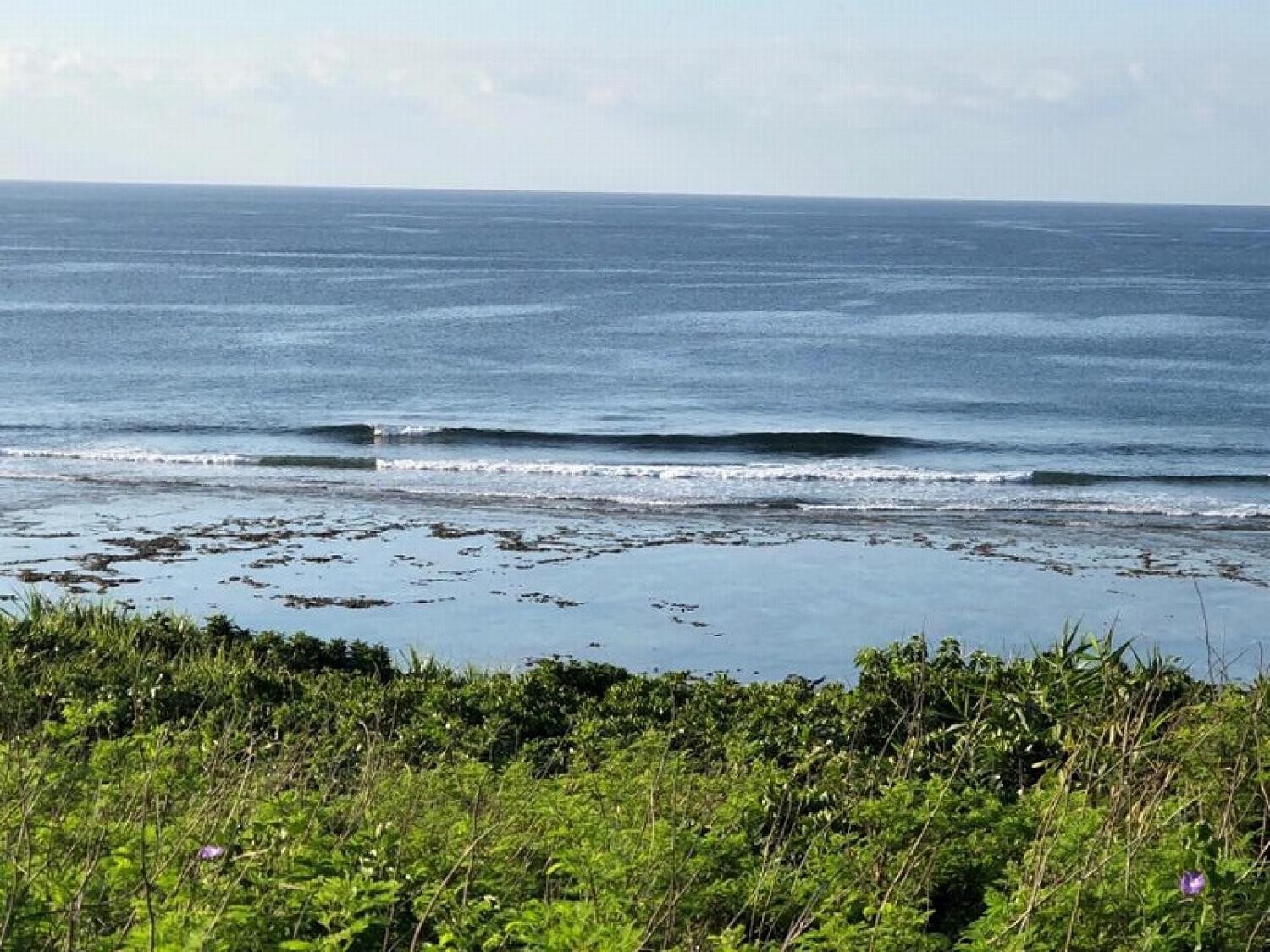 5月24日（木）スーサイド波情報 3