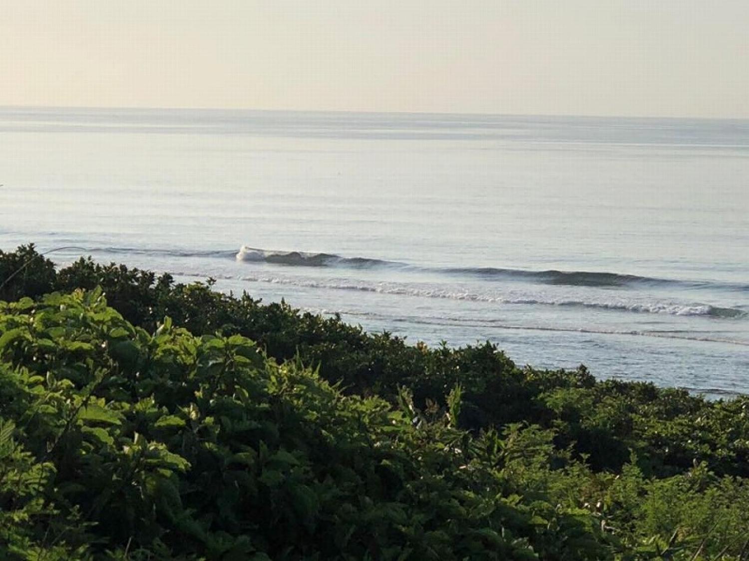 25th May suicide point wave information 2