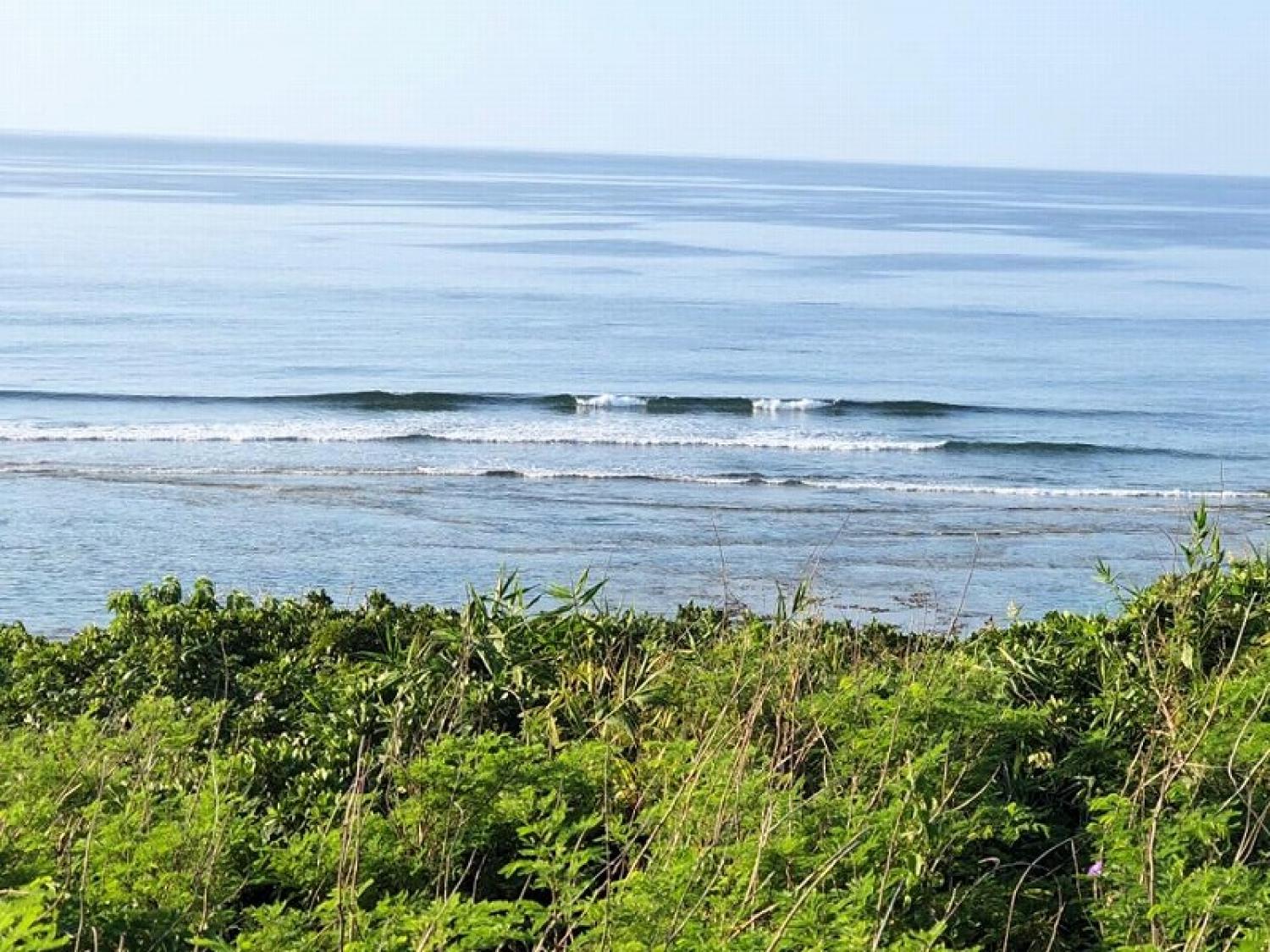 25th May suicide point wave information 3