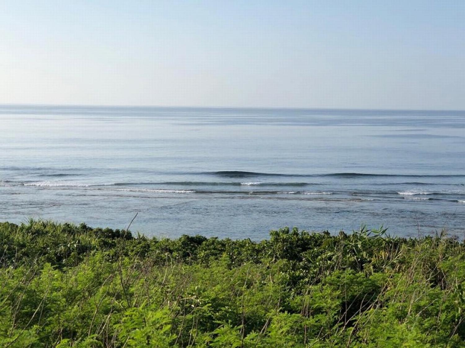 25th May suicide point wave information 5