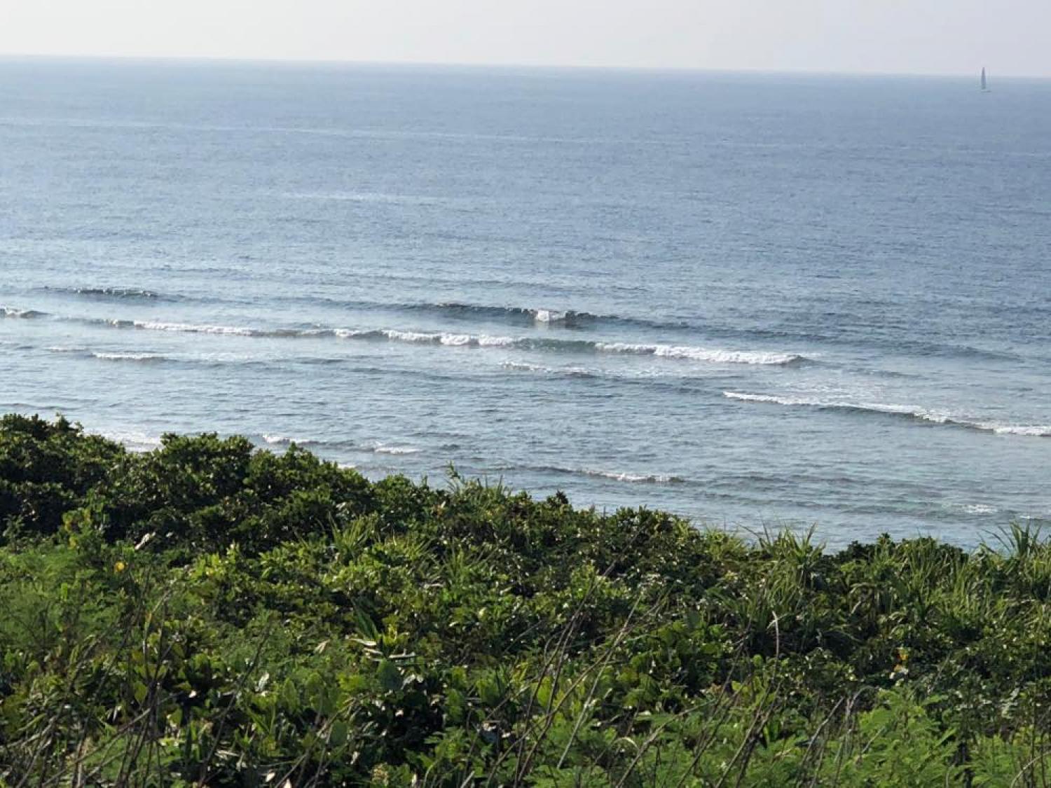28th May suicide point wave information