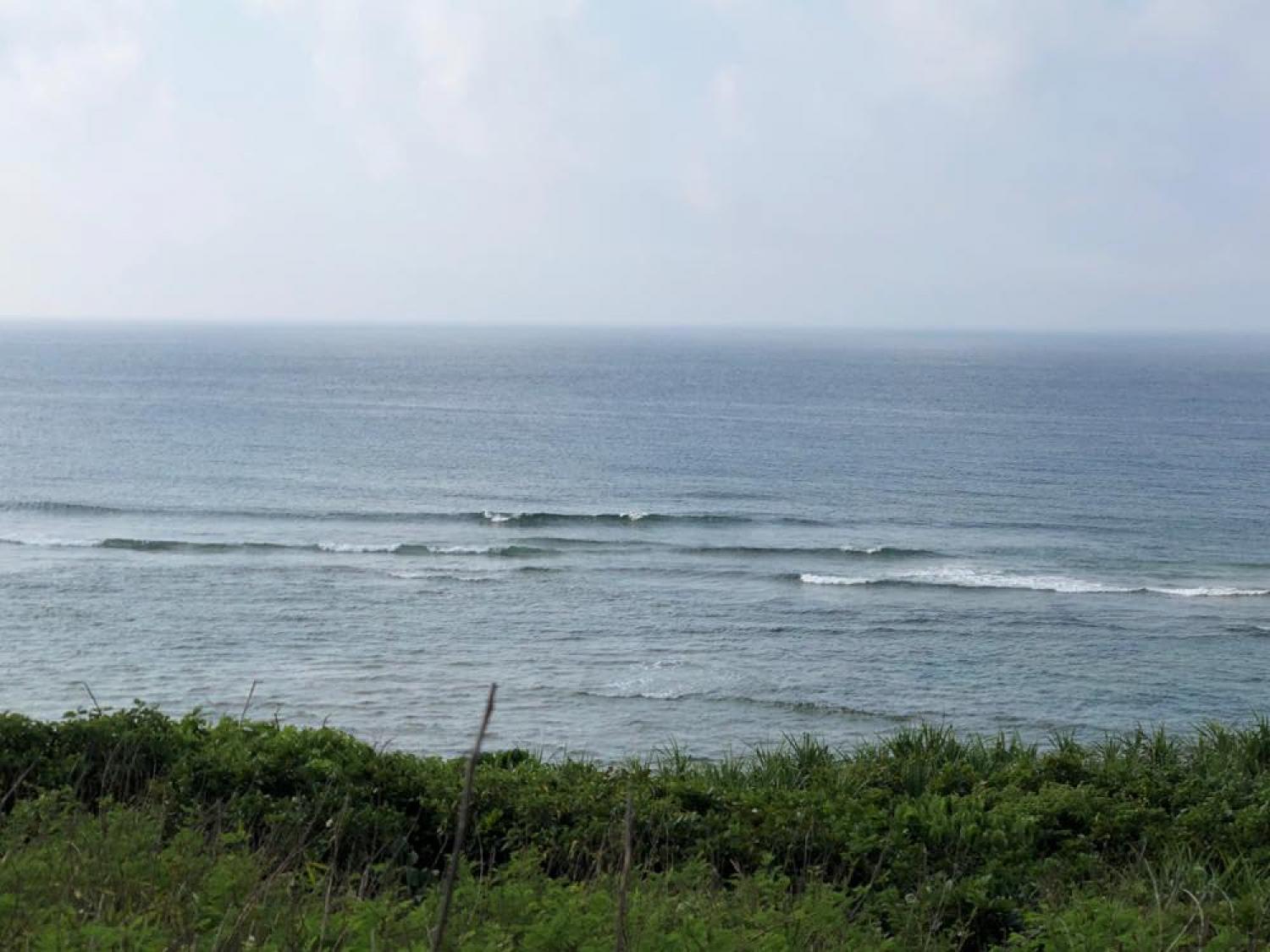 29th May suicide point wave information