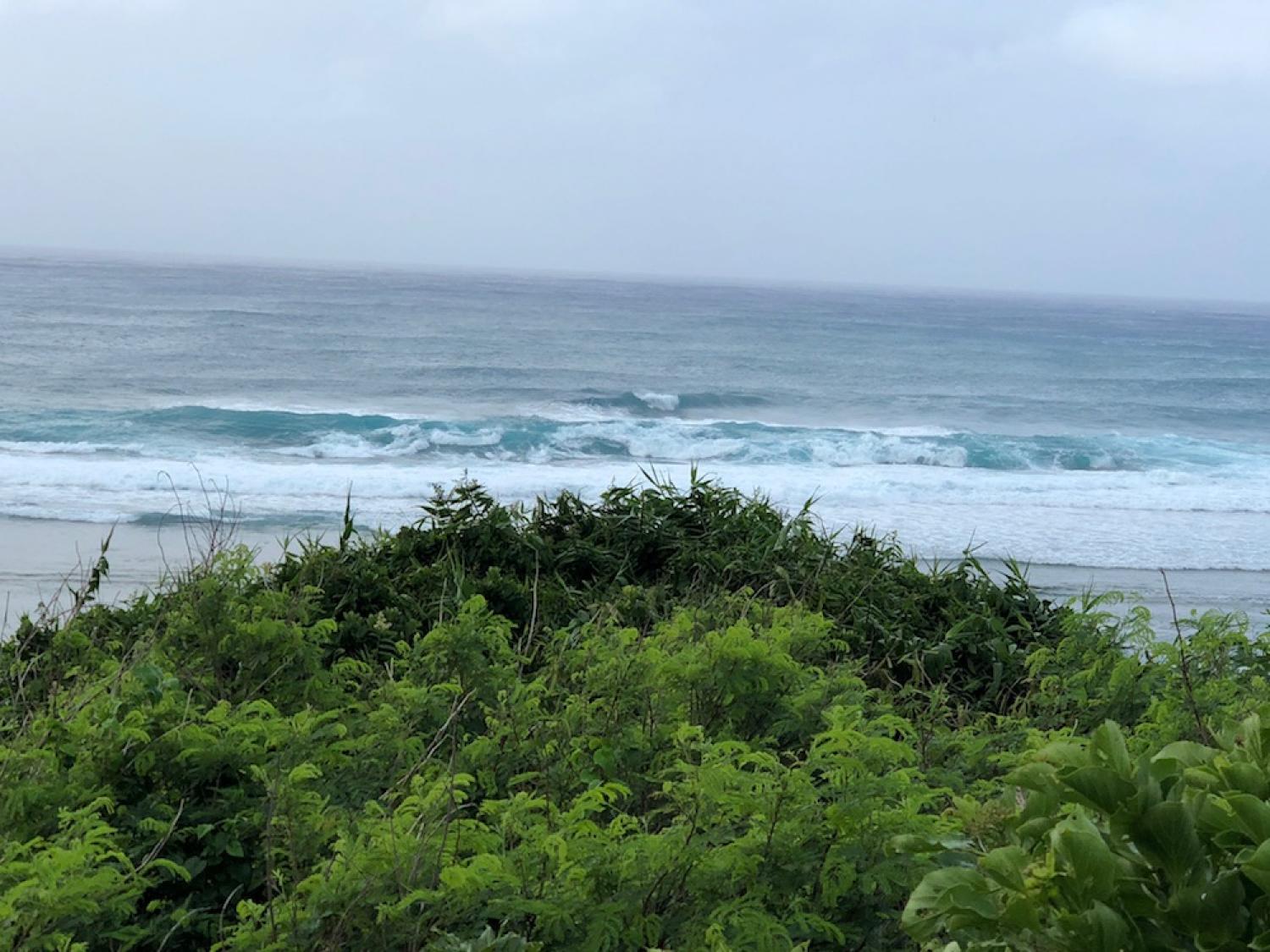 10th June suicide point wave information