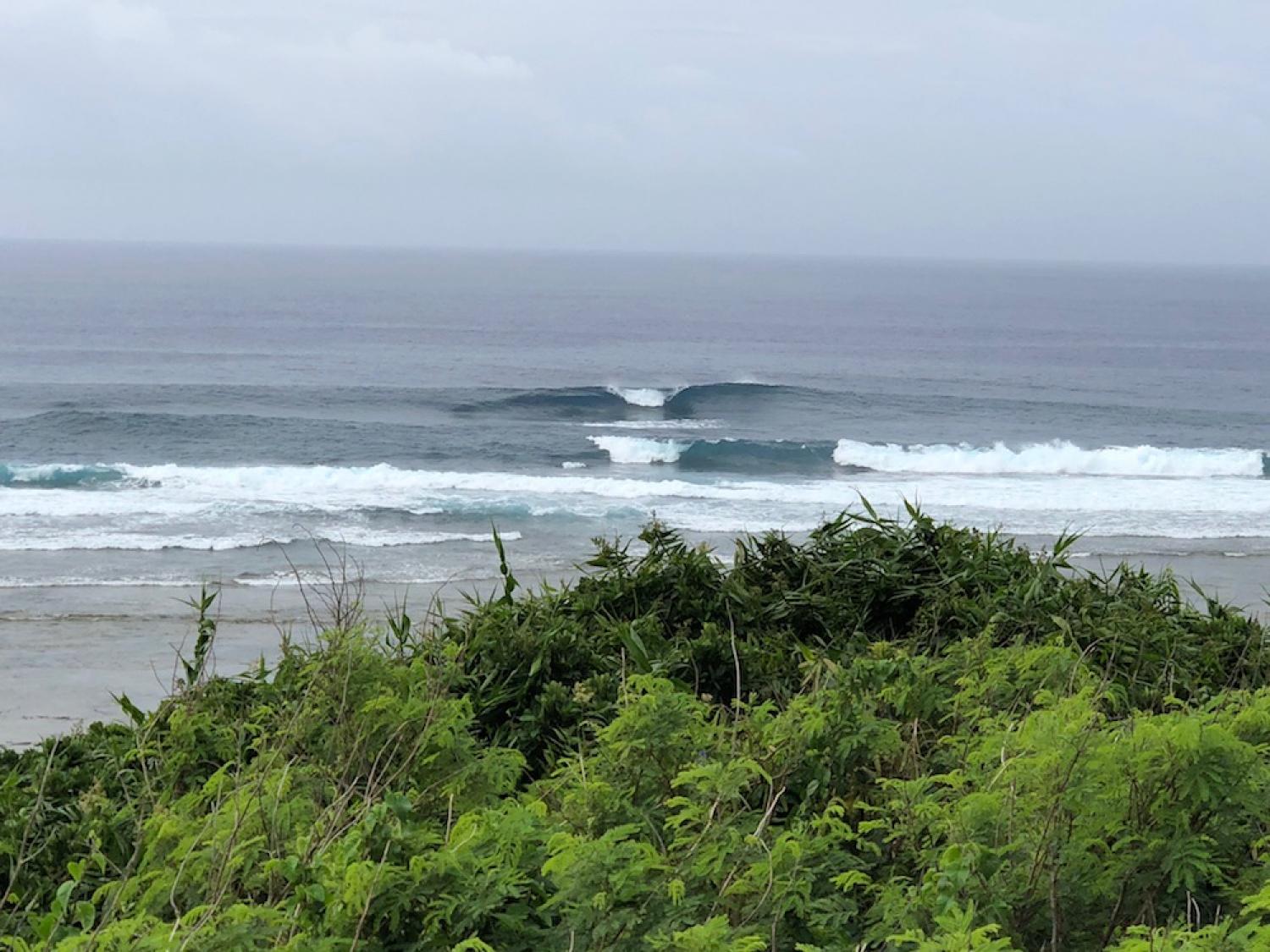 11th June suicide point wave information