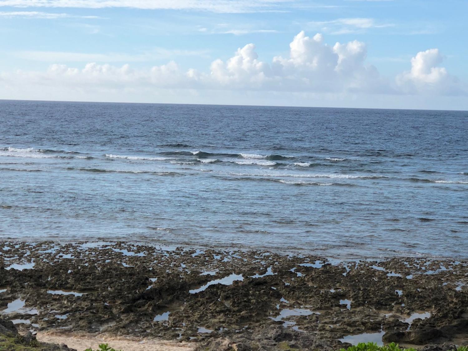 25th June suicide point wave information