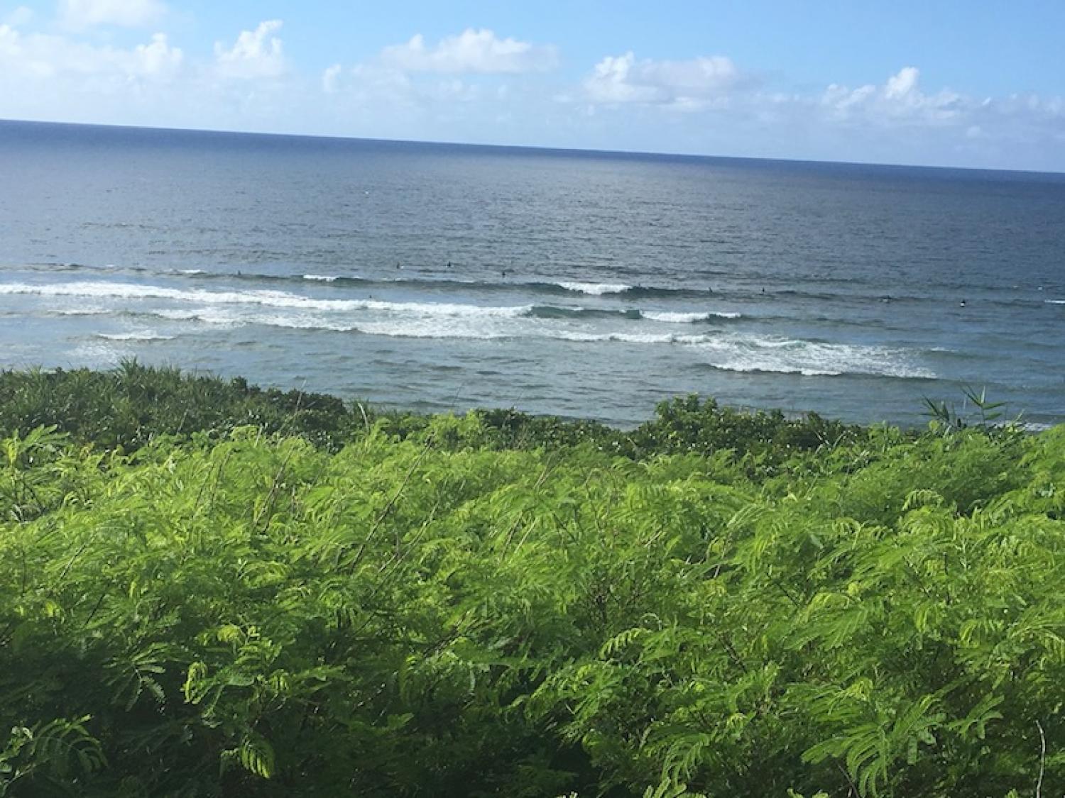 29th June suicide point wave information