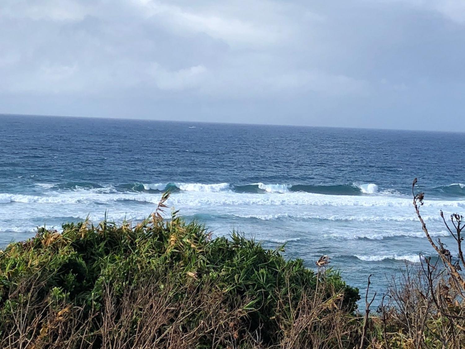 16th July suicide point wave information
