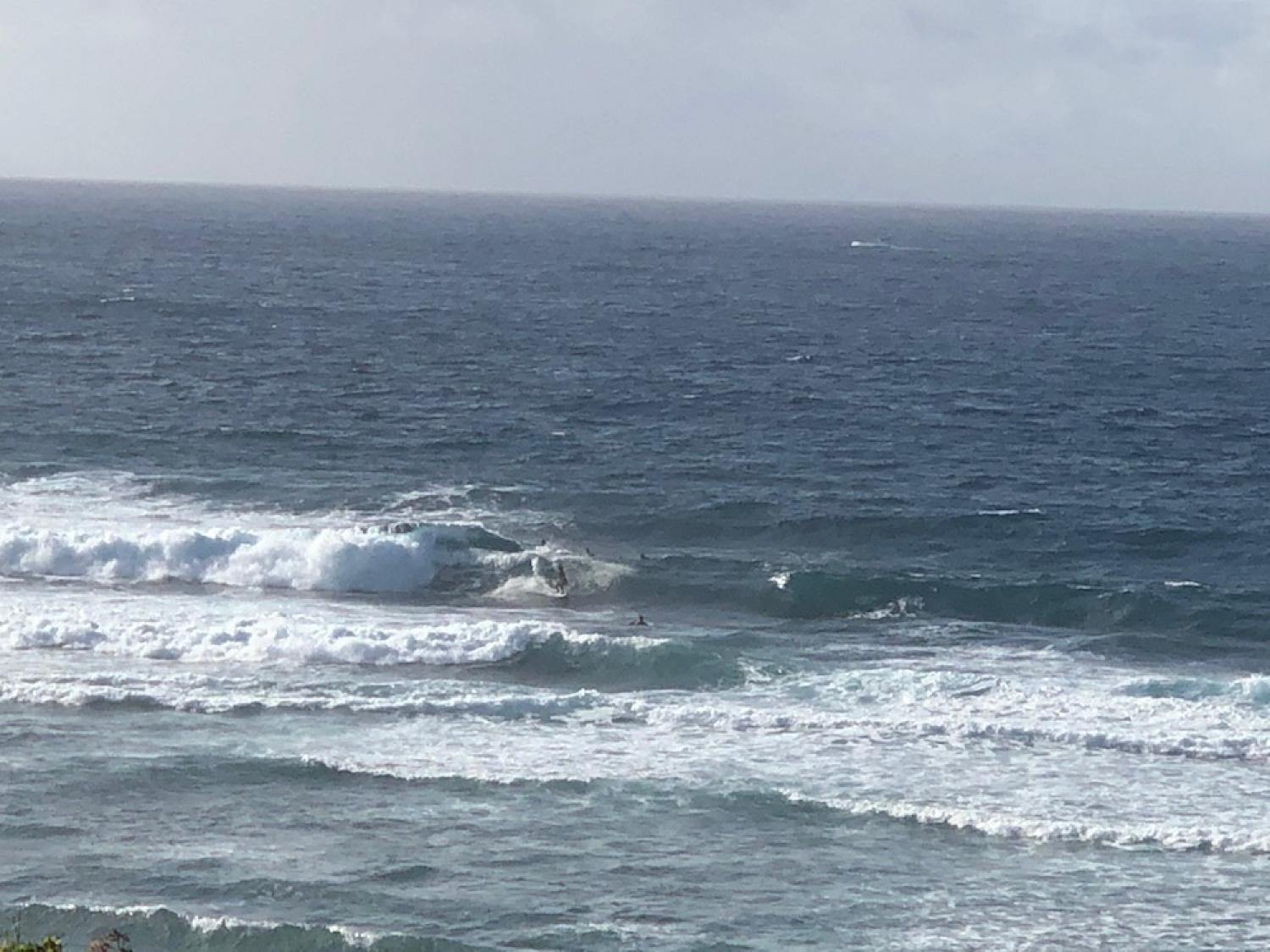 16th July suicide point wave information 3