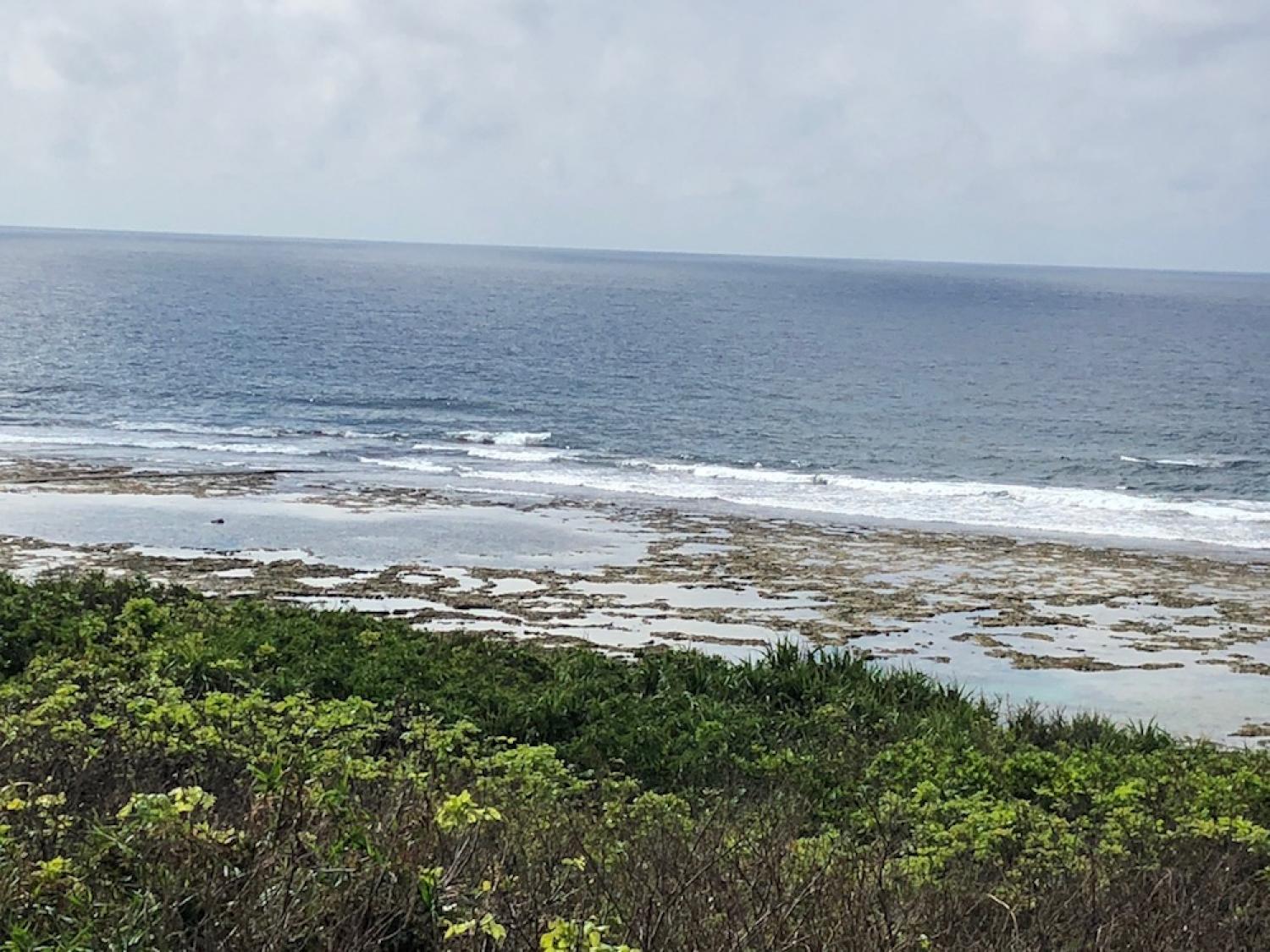 24th July suicide point wave information