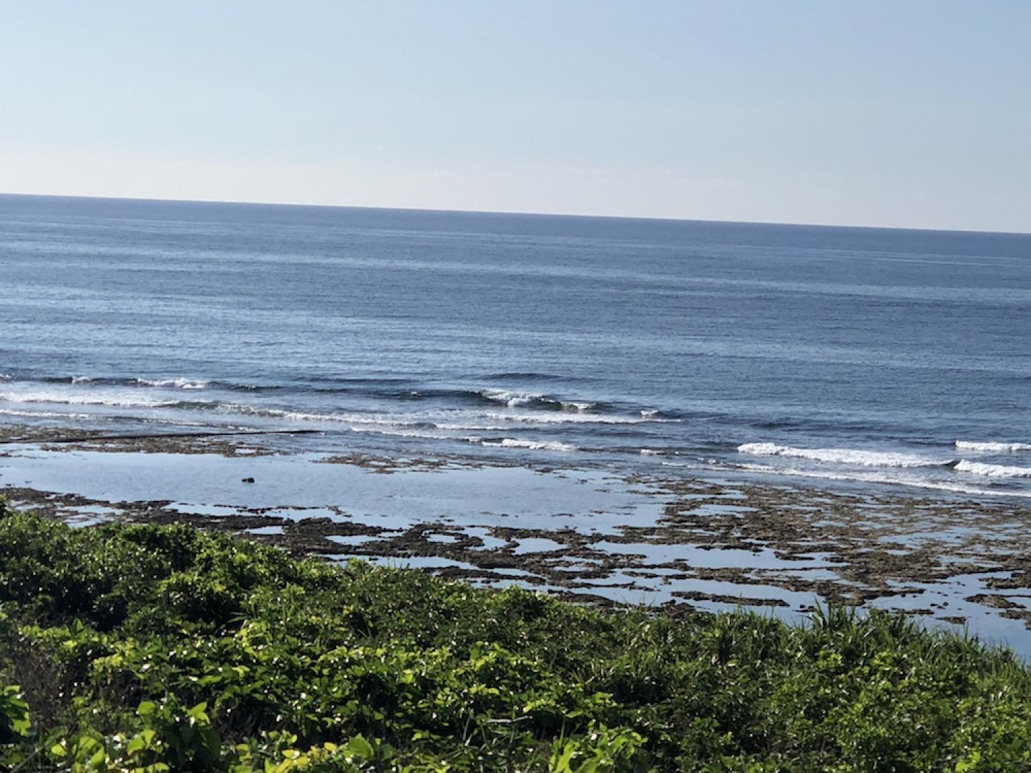 6th Aug suicide point wave information