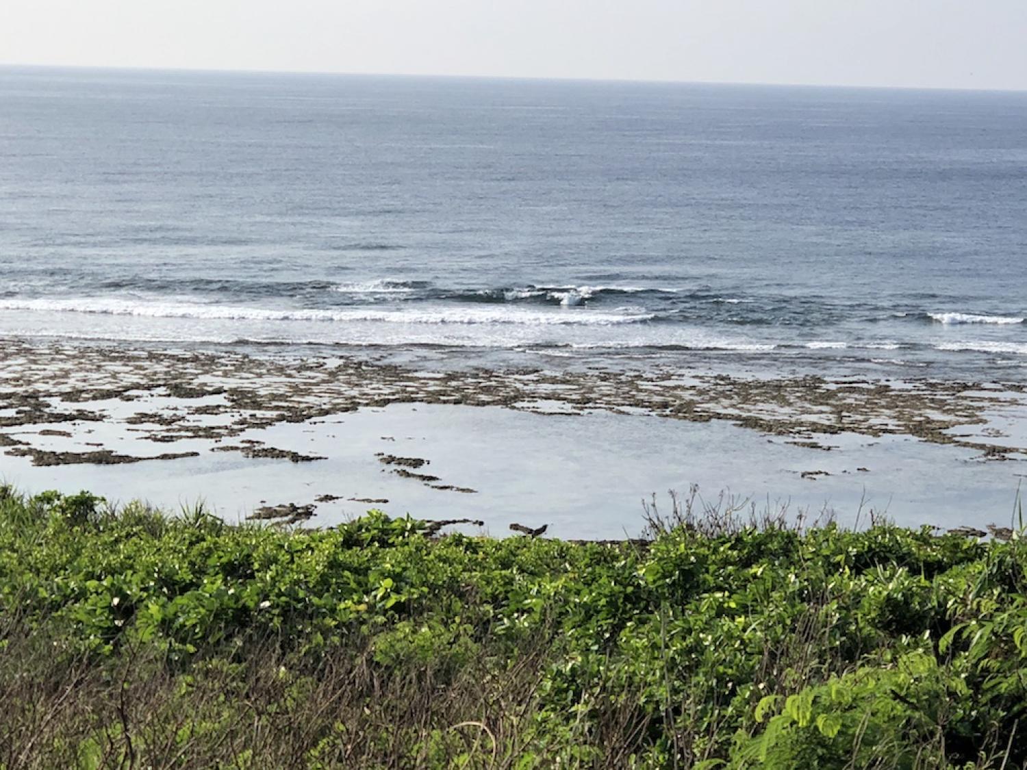 7th Aug suicide point wave information