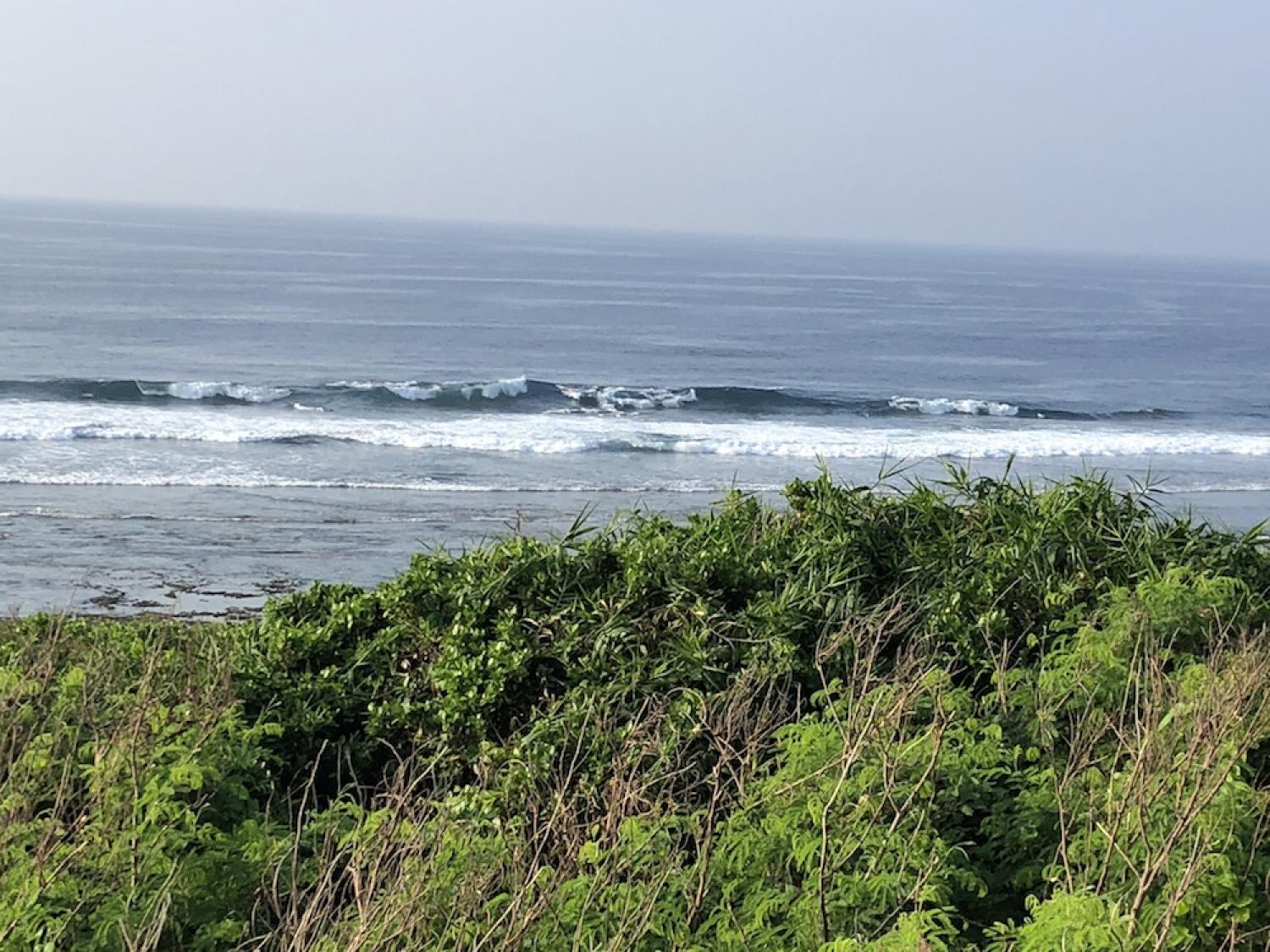 8th Aug suicide point wave information