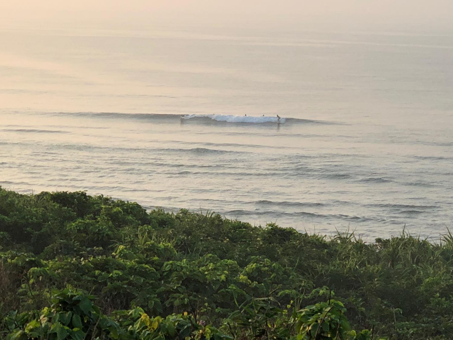 9th Aug suicide point wave information