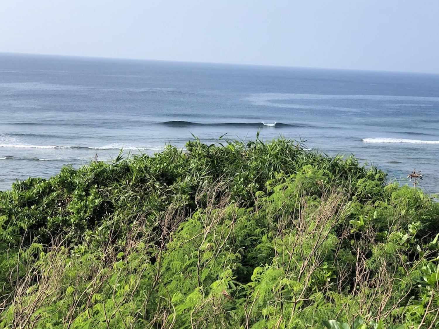 10th Aug suicide point wave information