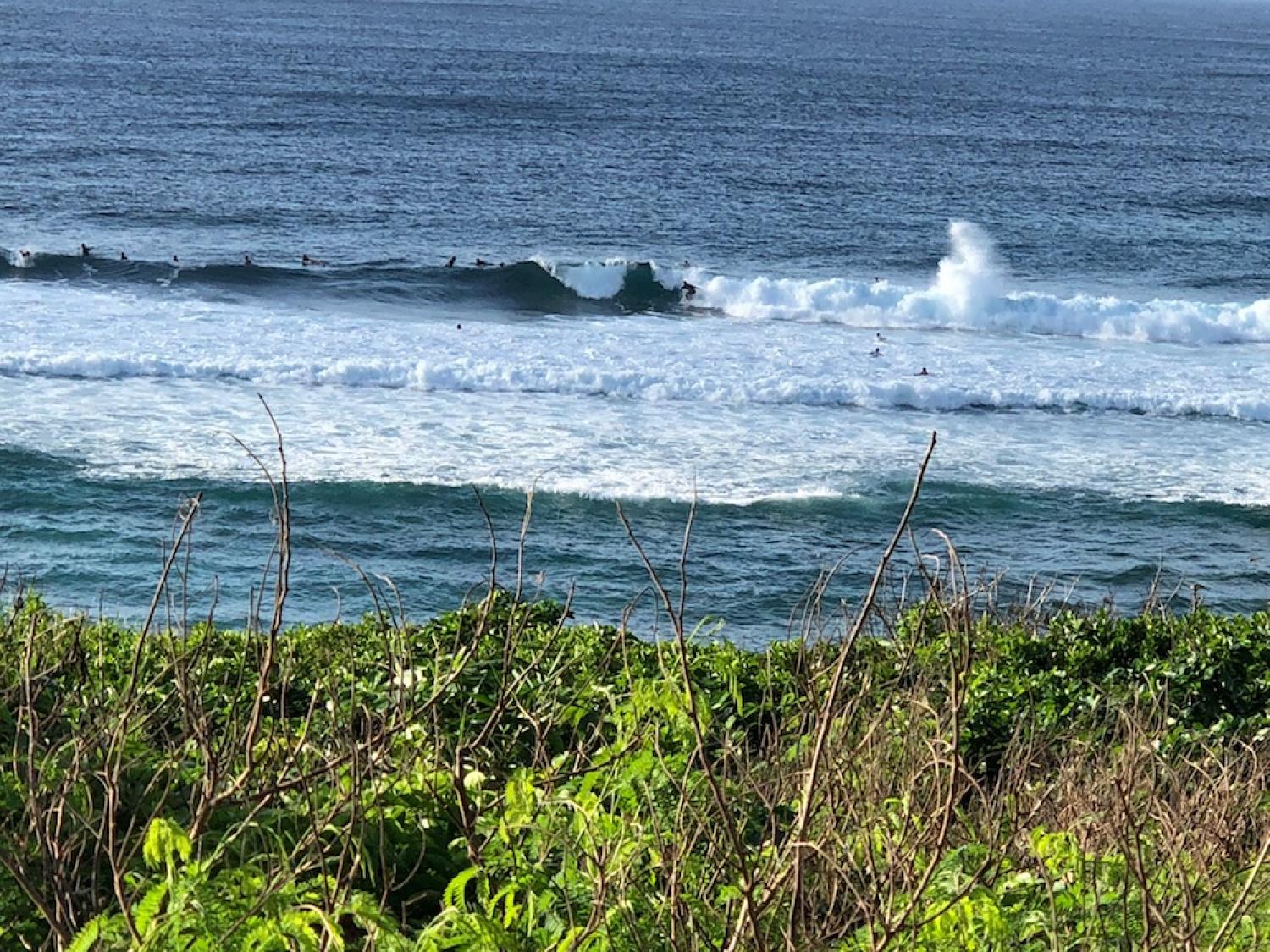 11th Aug suicide point wave information