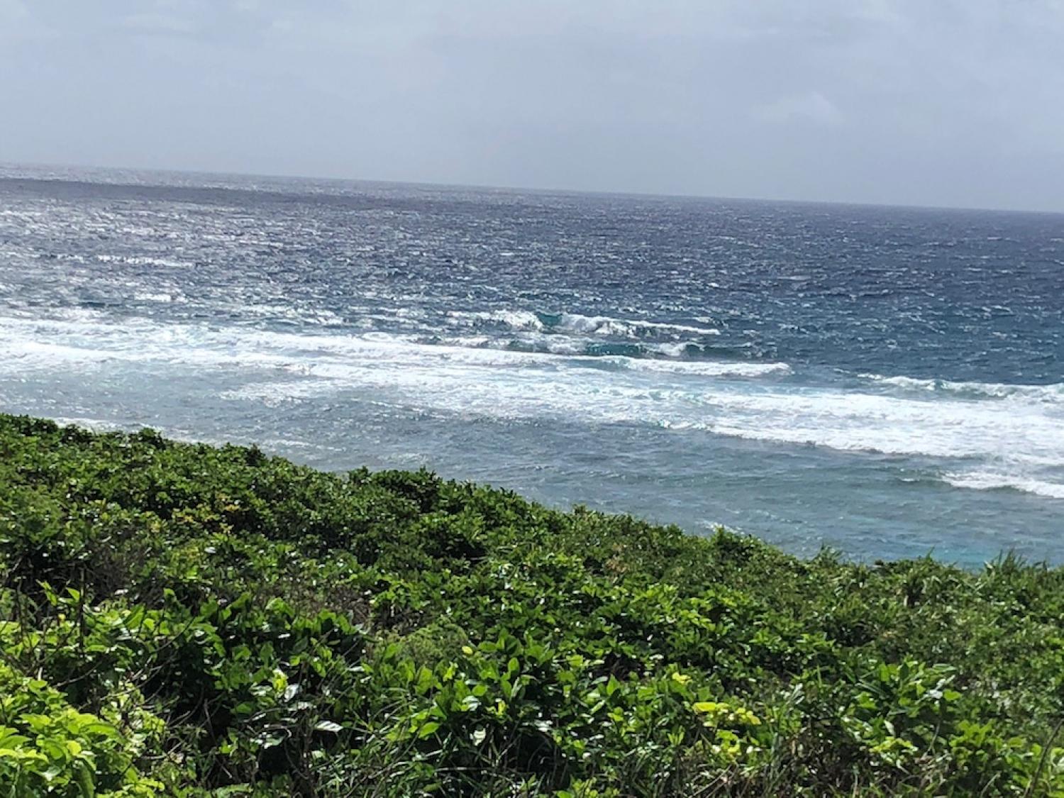 13th Aug suicide point wave information