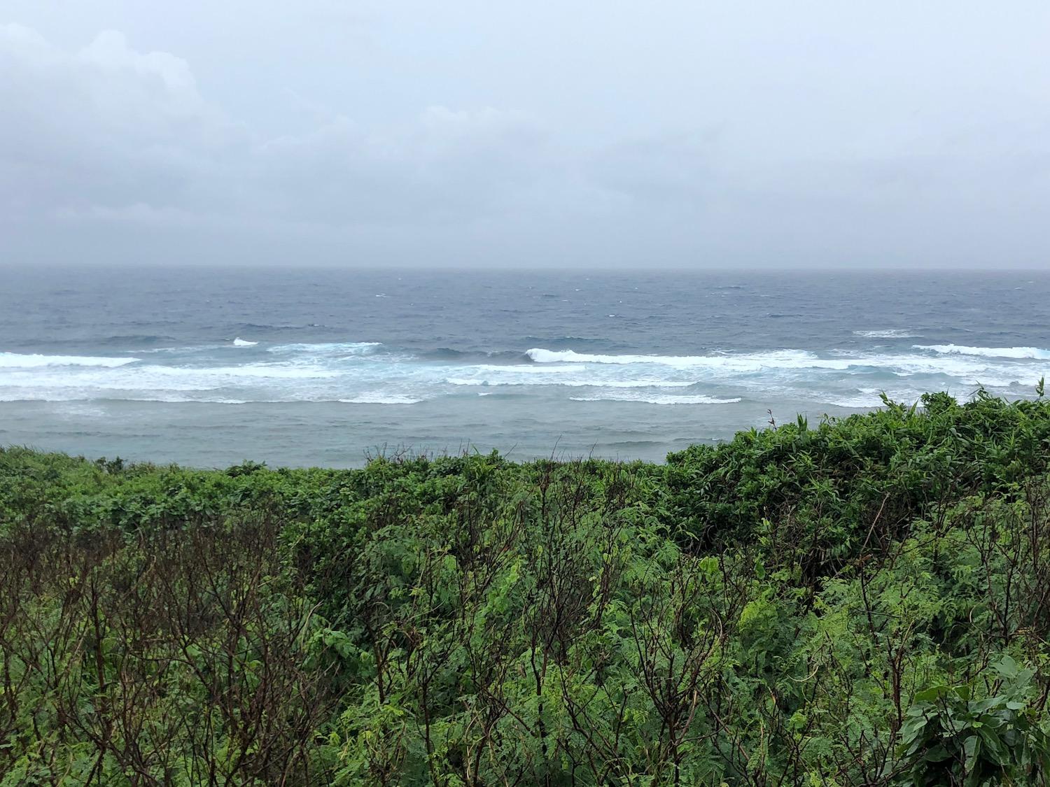 16th Aug suicide point wave information