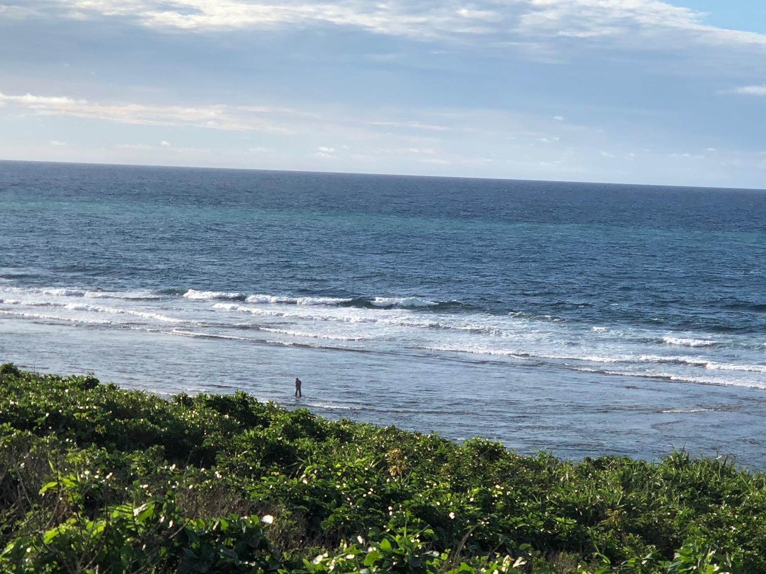 17th Aug suicide point wave information