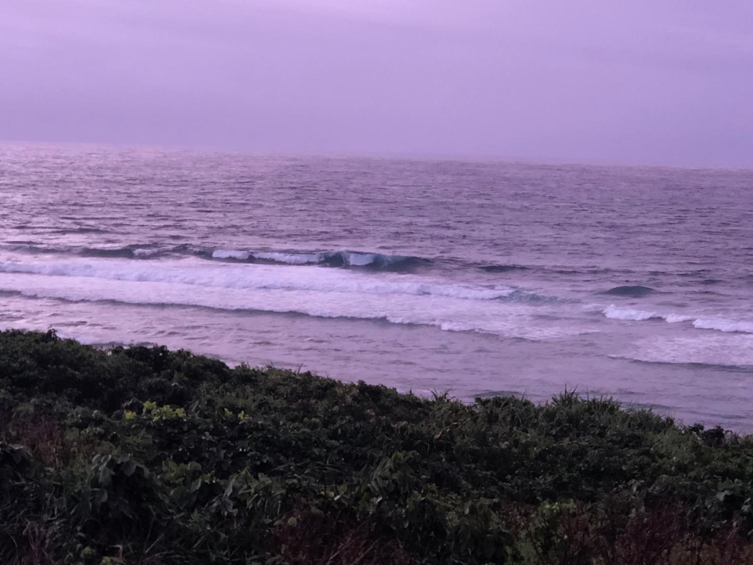 25th Aug suicide point wave information