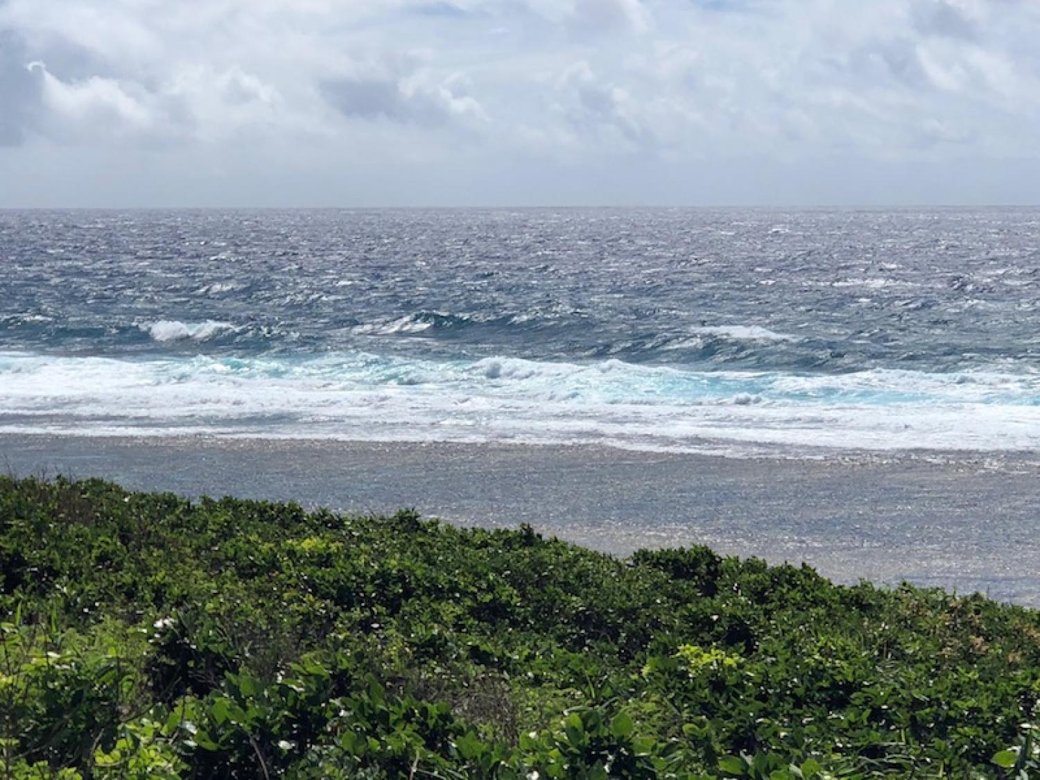 26h Aug suicide point wave information