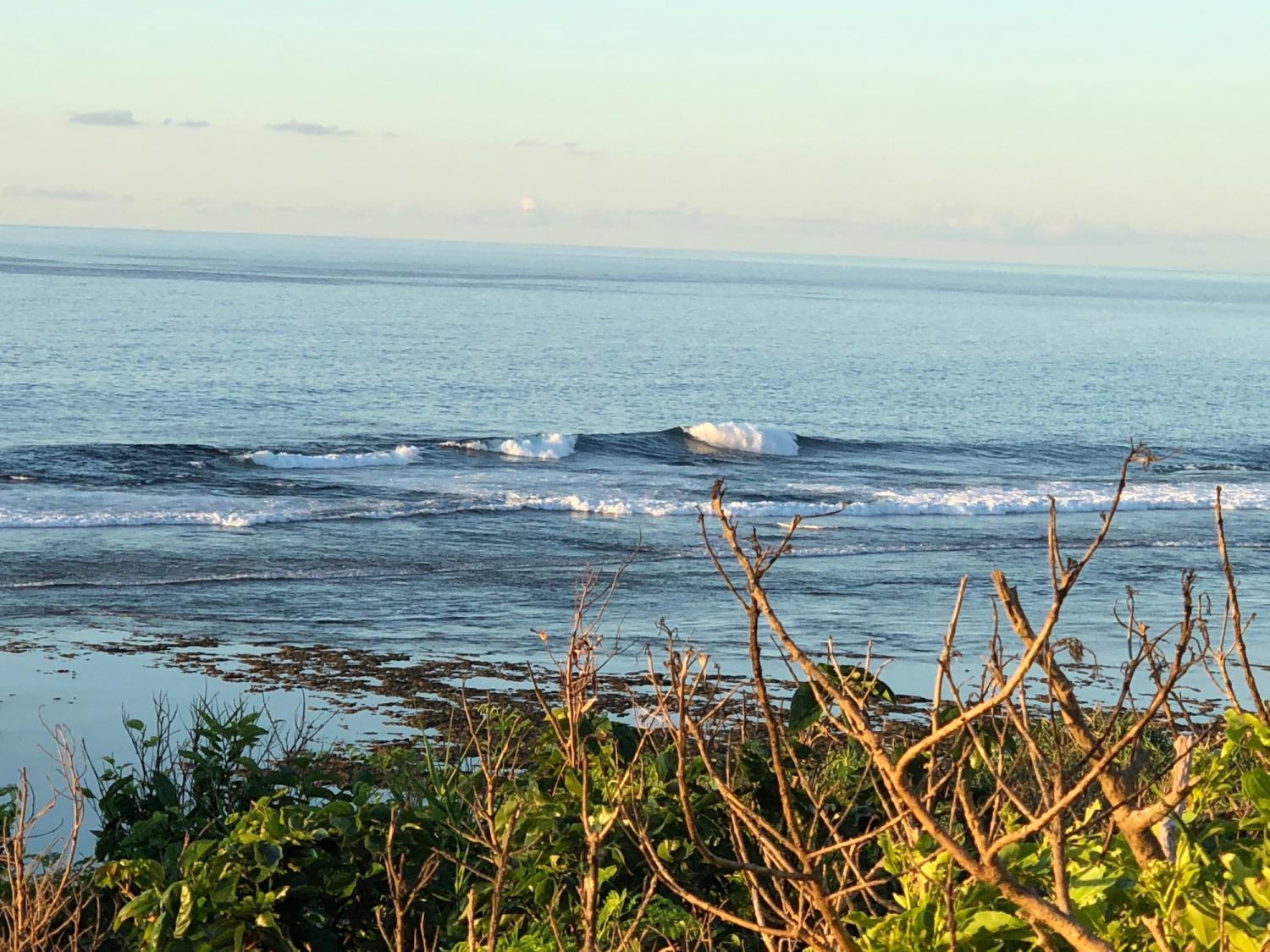 2018 sep 2 suicide point wave information