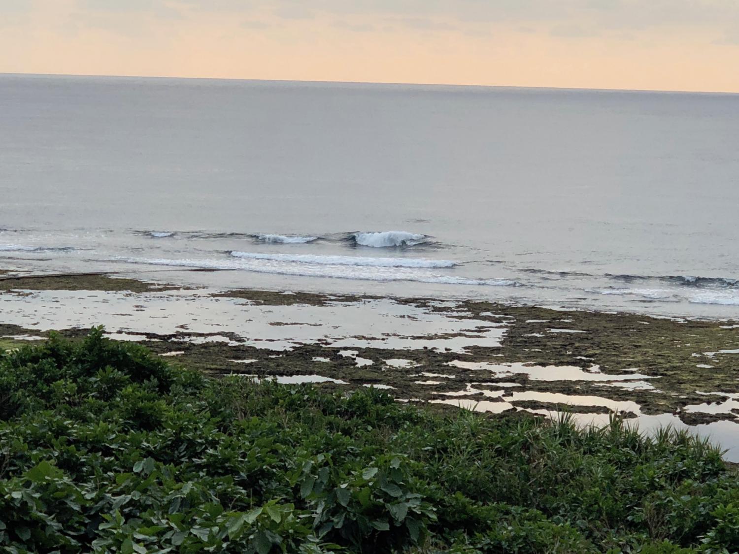 2018 Nov 29 suicide point wave information