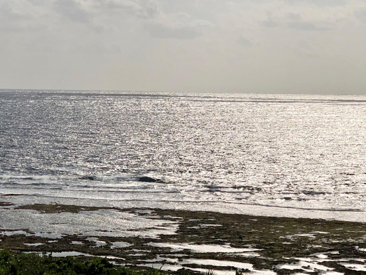 2018 Dec 1 suicide point wave information