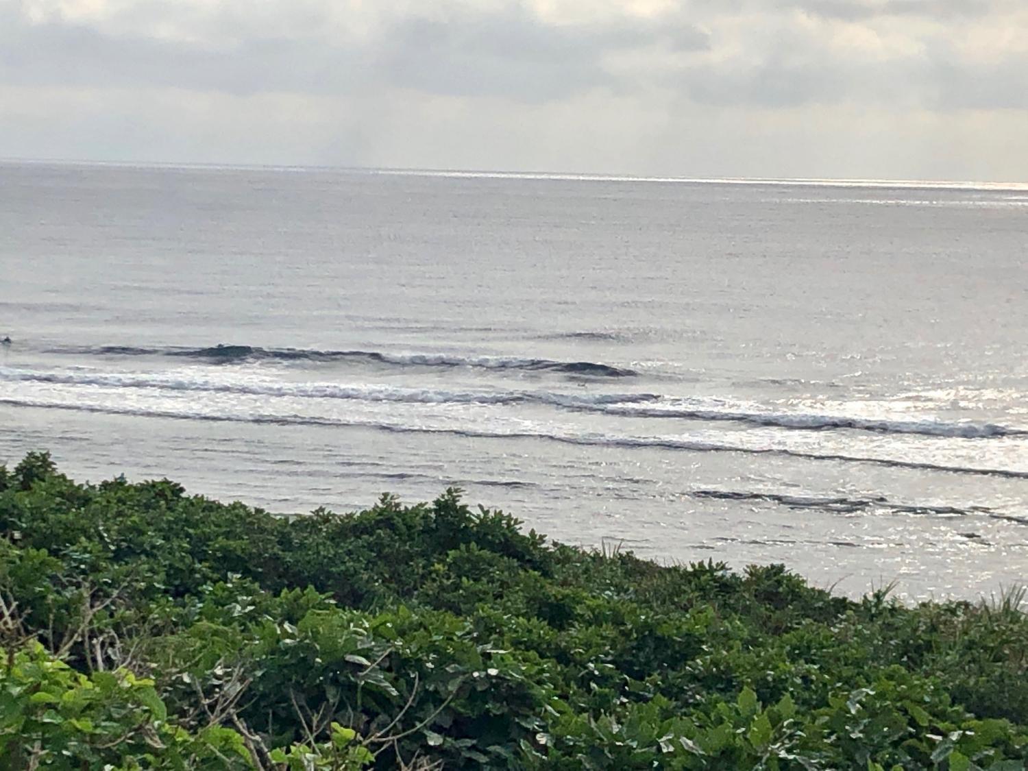 2018 Dec 7 suicide point wave information
