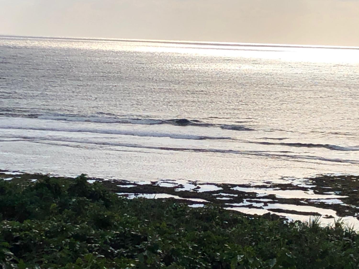 2018_Dec_15_suicide_point_wave_information
