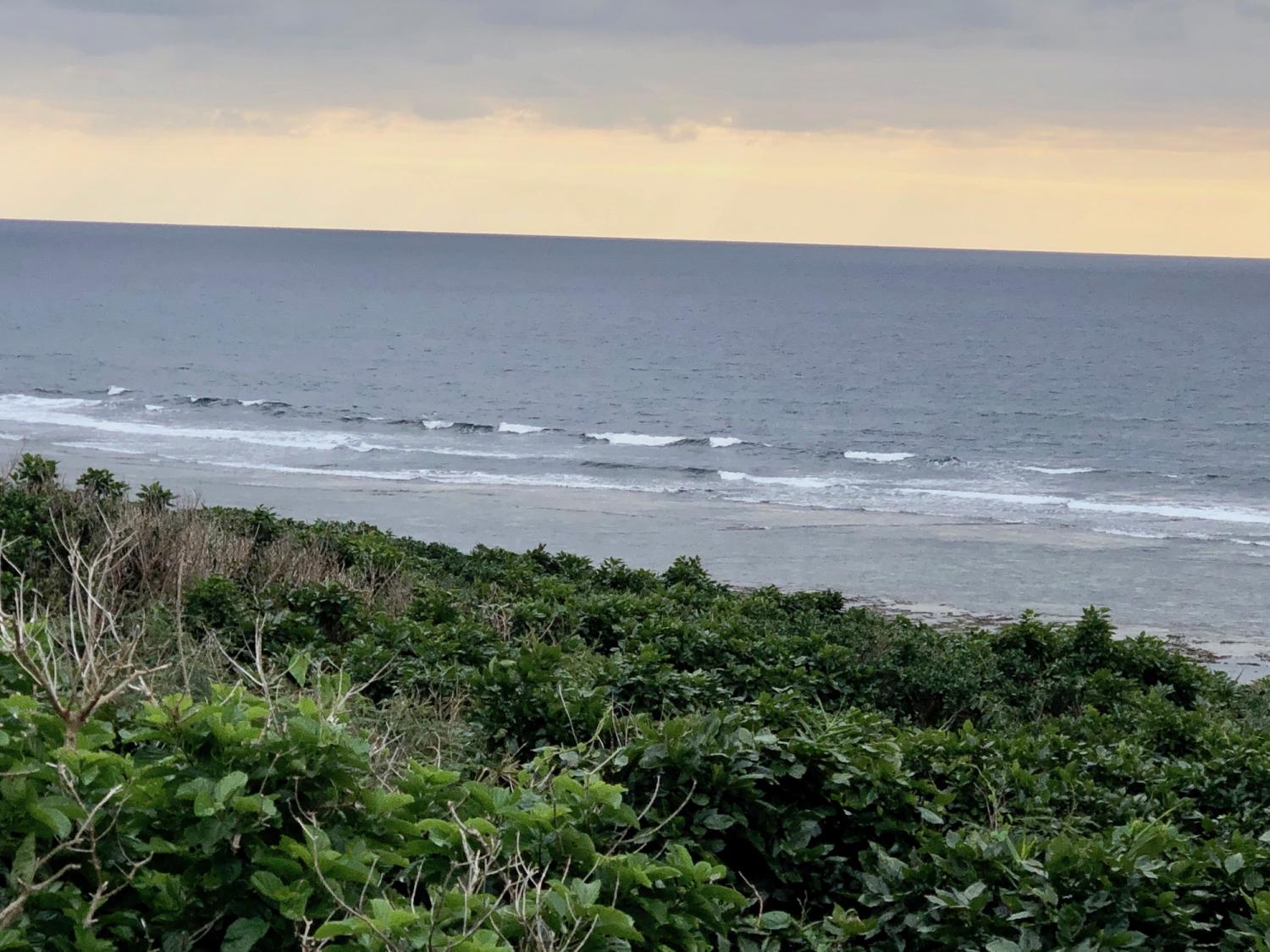 2019 Jan. 19 suicide point wave information